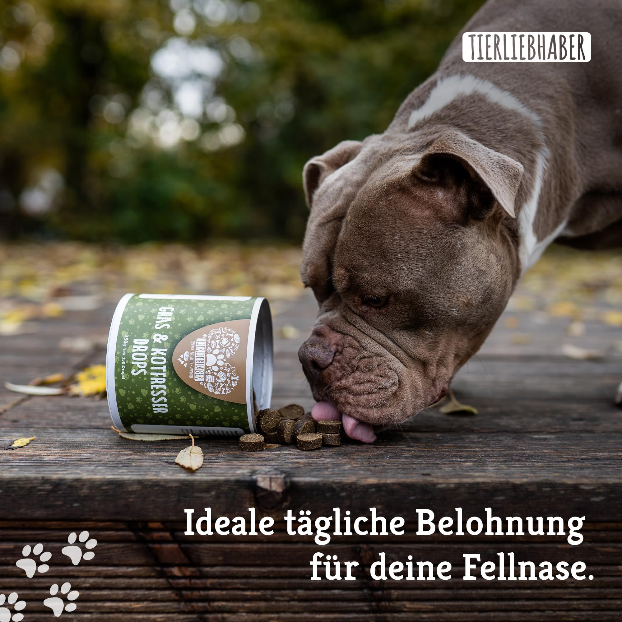 TIERLIEBHABER – Gras- & Kotfresser Drops bei Sodbrennen Hund mit Ulmenrinde für Hunde – Tierärztlich entwickelt – Hund Sodbrennen Drops angereichert mit Moor und Fenchel – 350 g mit ca. 160 Drops