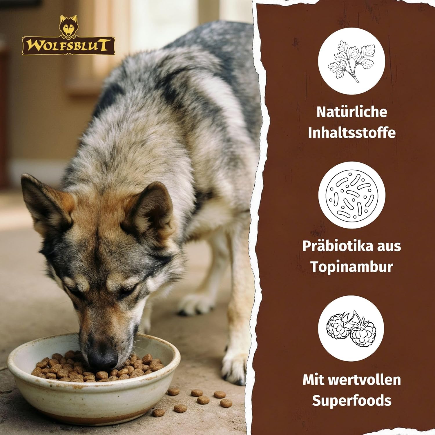 WOLFSBLUT – Wild Duck Adult | Trockenfutter mit natürlichen Zutaten und Superfoods für ausgewachsene Hunde. Getreidefreies Alleinfutter ohne Zusatzstoffe im Beutel | 12,5kg Ente