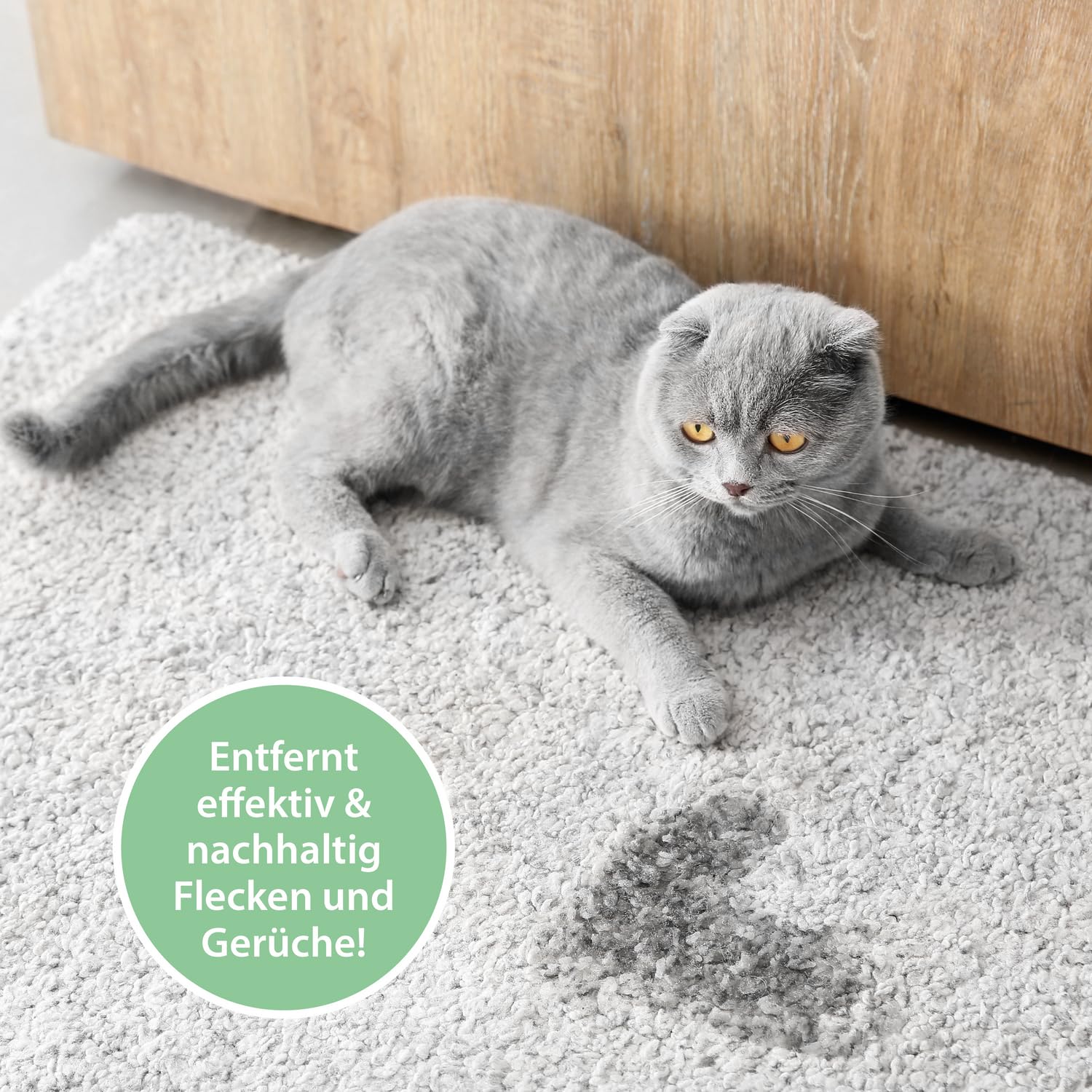 Enzymreiniger Katzenurin 750 ml – extrem stark gegen Katzenpipi, Uringeruch & Flecken – biologisch, tierfreundlich und für Sofa, Teppich, Textilien, Auto & Katzenklo – Pipi-Weg