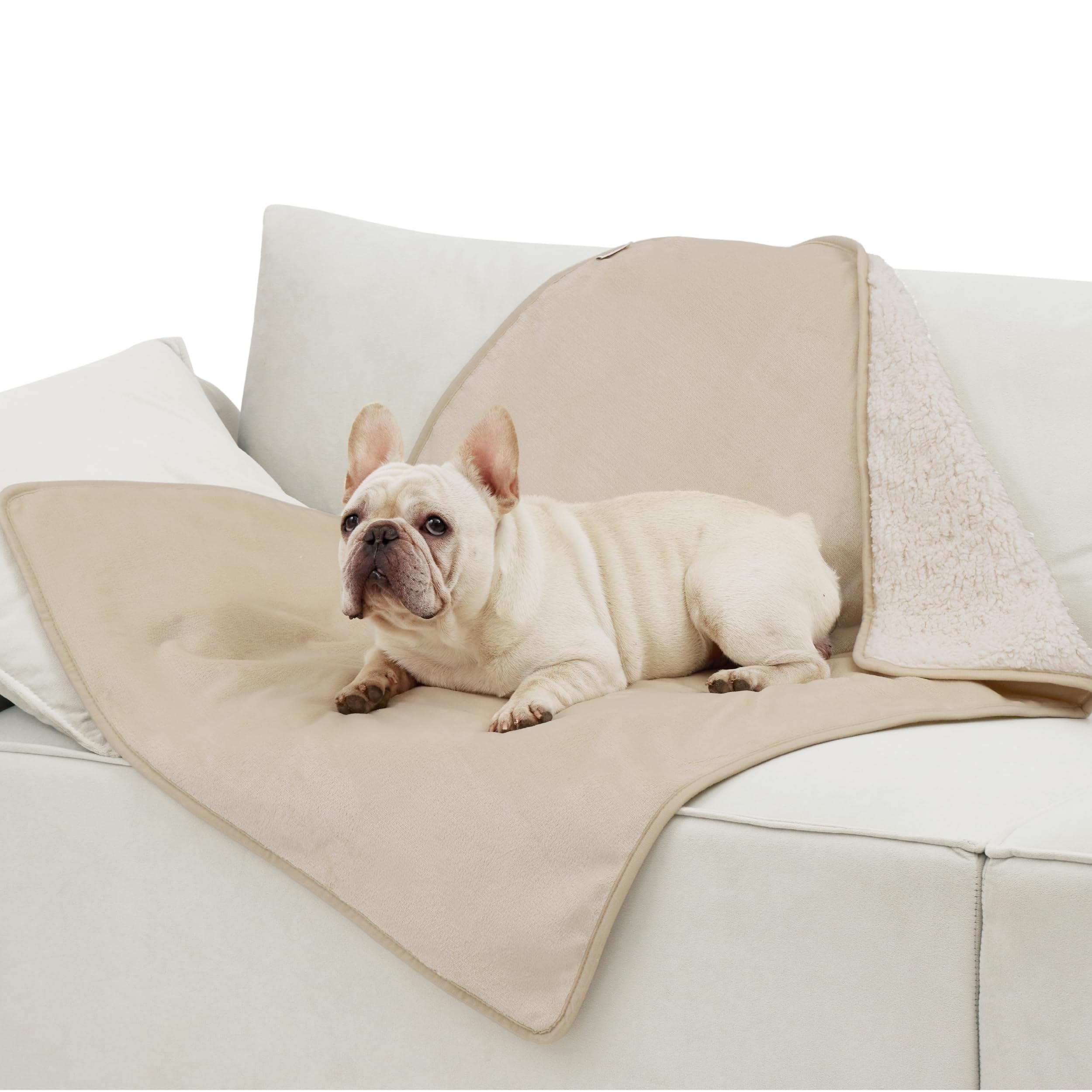 LE SURE wasserdichte Hundedecke mittelgroße Hunde - 100x80cm Hundedecke waschbar, Hundedecke Sofaschutz aus Sherpa Fleece, Katzendecke flauschig und weich, Grau
