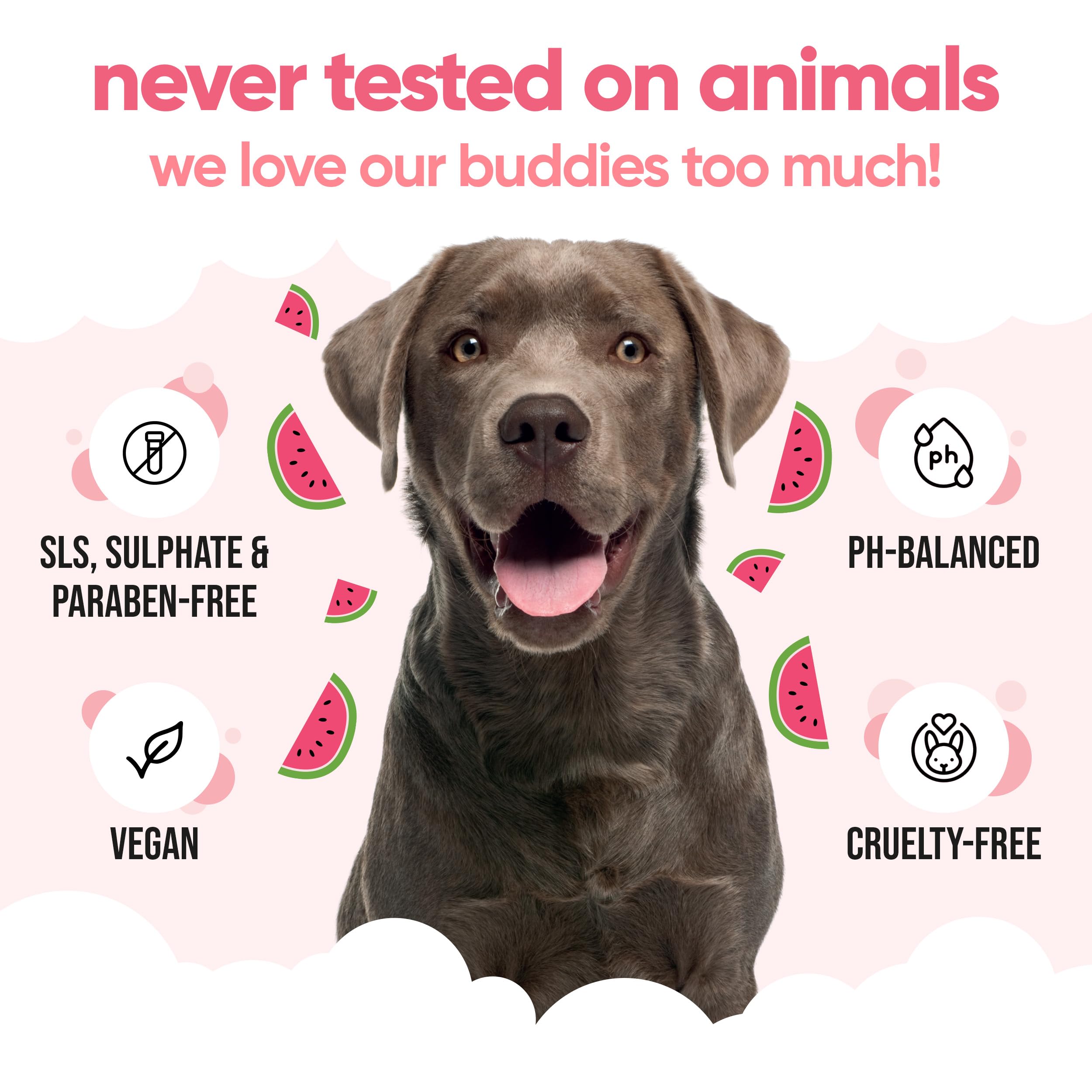 2in1 Hundeshampoo und Conditioner von Buddycare (500ml) - Praktisches Hundeshampoo langhaar und welpen Shampoo Mit Aloe Vera und Pro-Vitamin B5 Rückfettendes Shampoo Für Alle Hunderassen