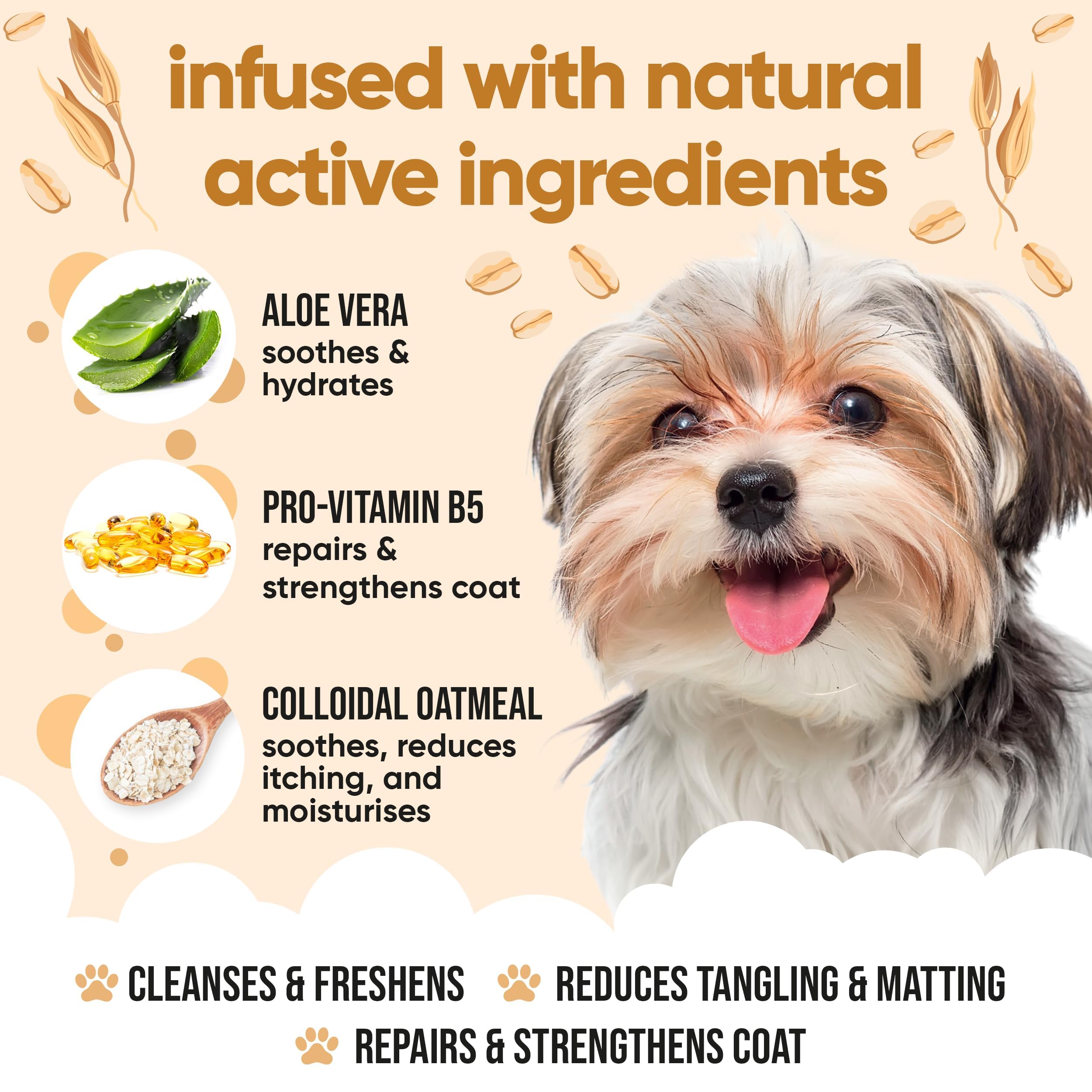 2in1 Hundeshampoo und Conditioner von Buddycare (500ml) - Praktisches Hundeshampoo langhaar und welpen Shampoo Mit Aloe Vera und Pro-Vitamin B5 Rückfettendes Shampoo Für Alle Hunderassen