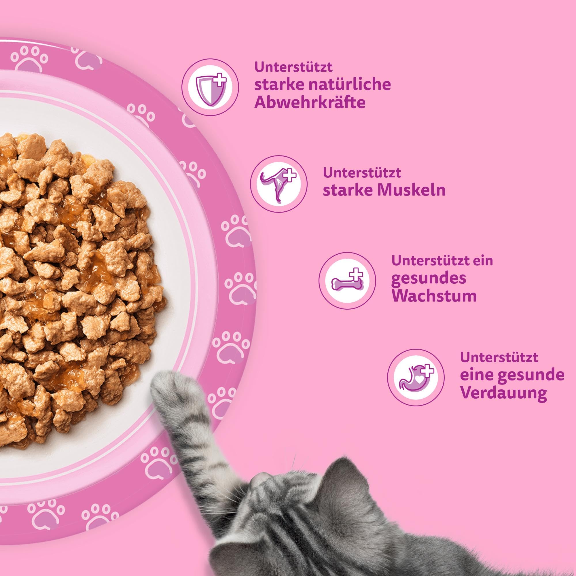 Whiskas Junior Katzennassfutter Klassische Auswahl in Sauce, 48 Portionsbeutel, 12x85g (4er Pack) – Hochwertiges Katzenfutter nass, für heranwachsende Katzen von 2 bis 12 Monaten