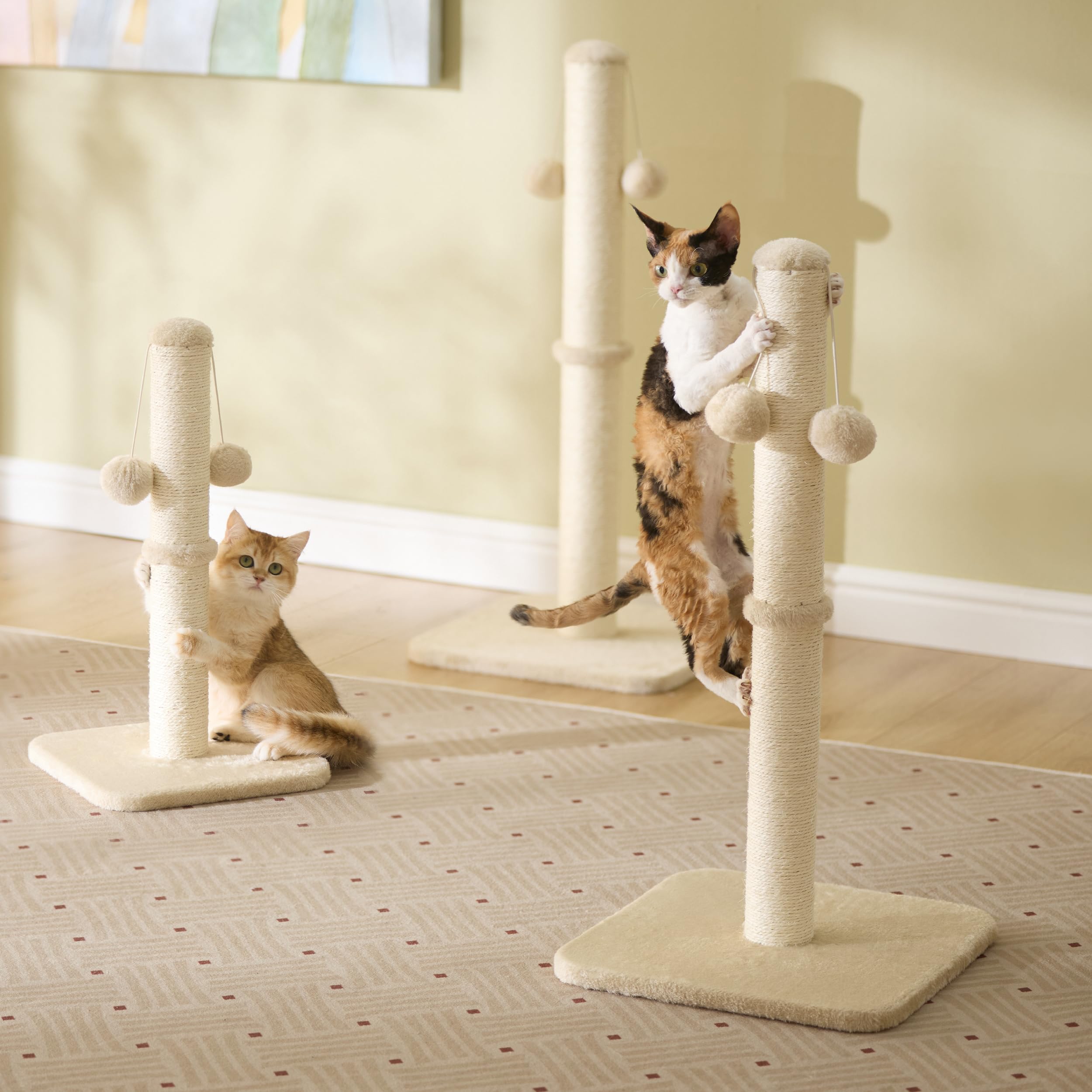 Lesure Kratzsäule Mittelgroßer für Katzen Indoor - 36x36x74cm Kratzstamm mit Hängendem Spielball, Kleiner Kratzbaum mit Sisalseil, Stabile Basis Kratzsäule, Grau