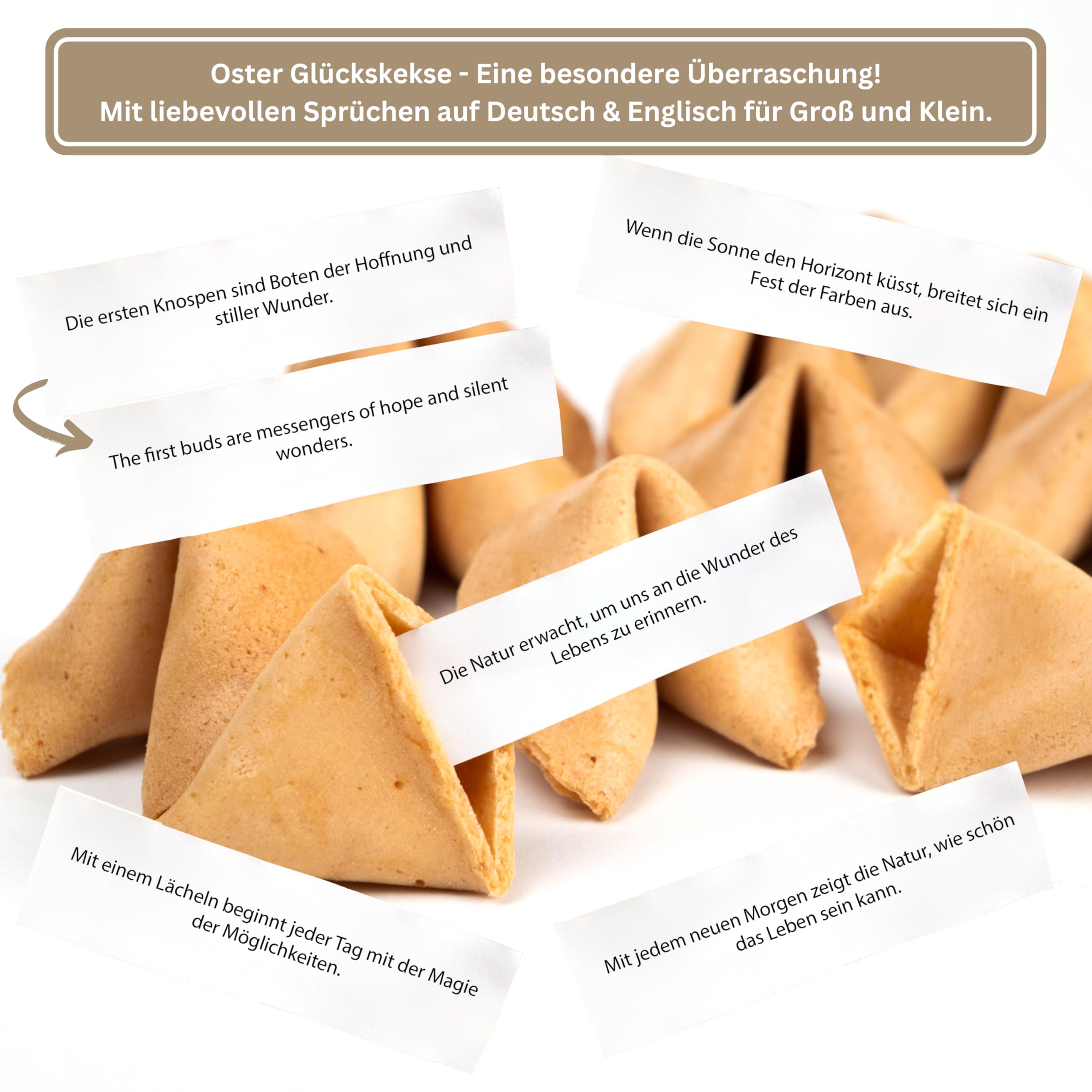 Lucky Treats Glückskekse - 25 Stück - Schön, dass du da bist - Gastgeschenke Hochzeit Deko - Sprüche auf Deutsch & Englisch - regional hergestellt