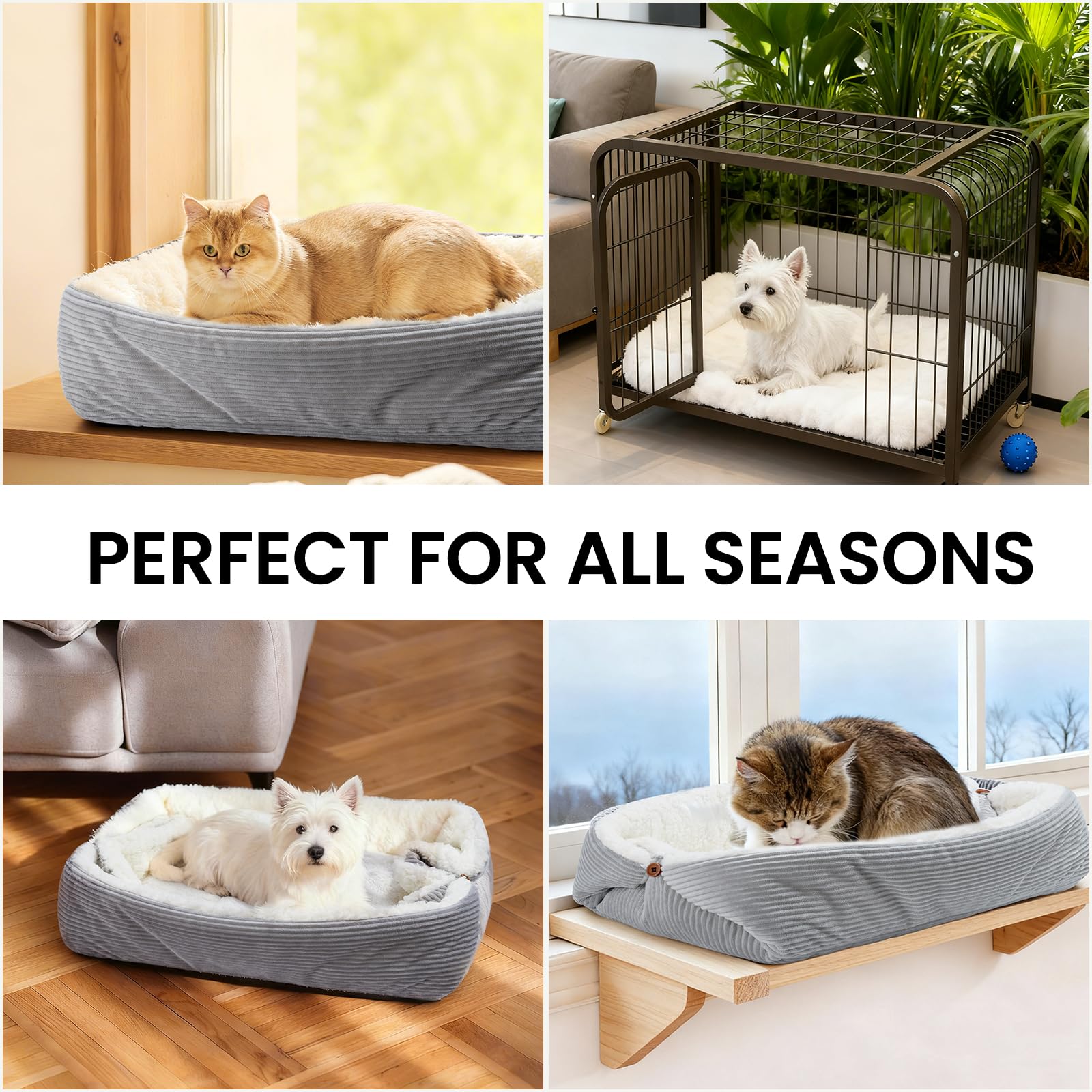 Weiches Katzenbett Waschbar 42x38 cm Plüsch Haustierbett für Kleine Hunde und Katzen - 2 in 1 Katzenkissen Katzendecke Katzensofa Nest Bett, Entfaltete Größe 61x51 cm