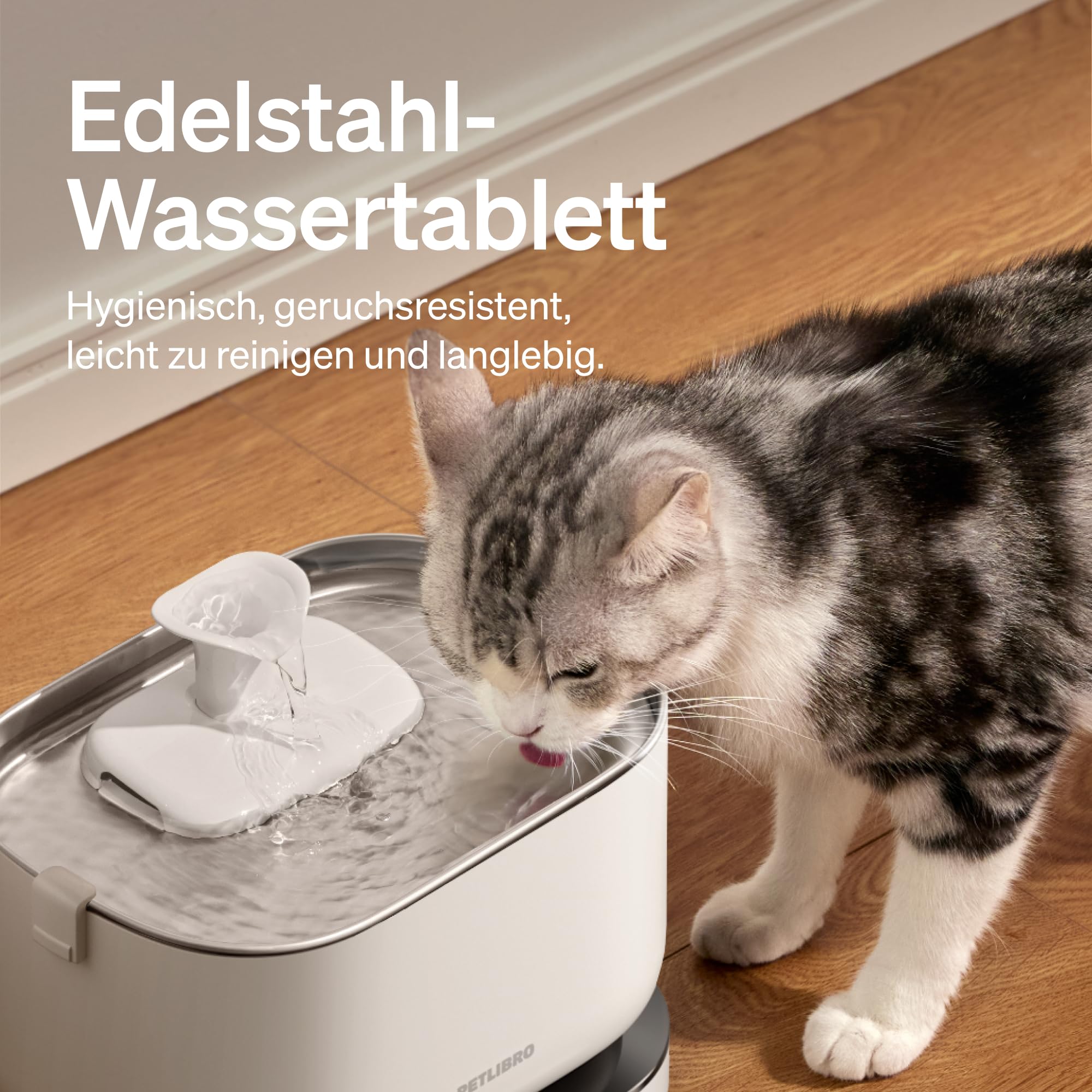 PETLIBRO Filter Katzenbrunnen 8er Pack für Dockstream Trinkbrunnen für Katze PLWF005, PLWF115, PLWF105, PLWF305, 4-Monats-Set Ersatzfilter für Katzentrinkbrunnen