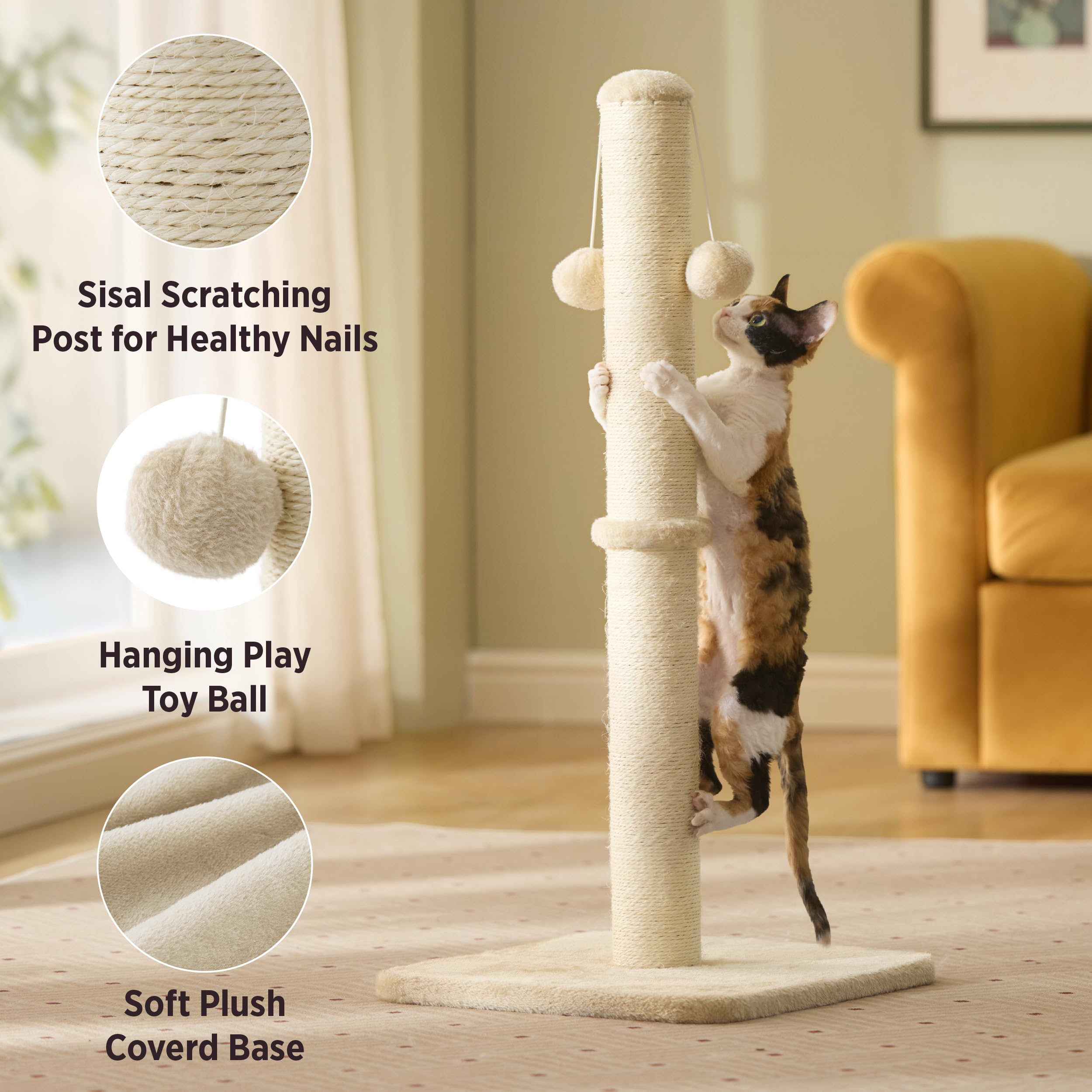 Lesure Kratzsäule Mittelgroßer für Katzen Indoor - 36x36x74cm Kratzstamm mit Hängendem Spielball, Kleiner Kratzbaum mit Sisalseil, Stabile Basis Kratzsäule, Grau