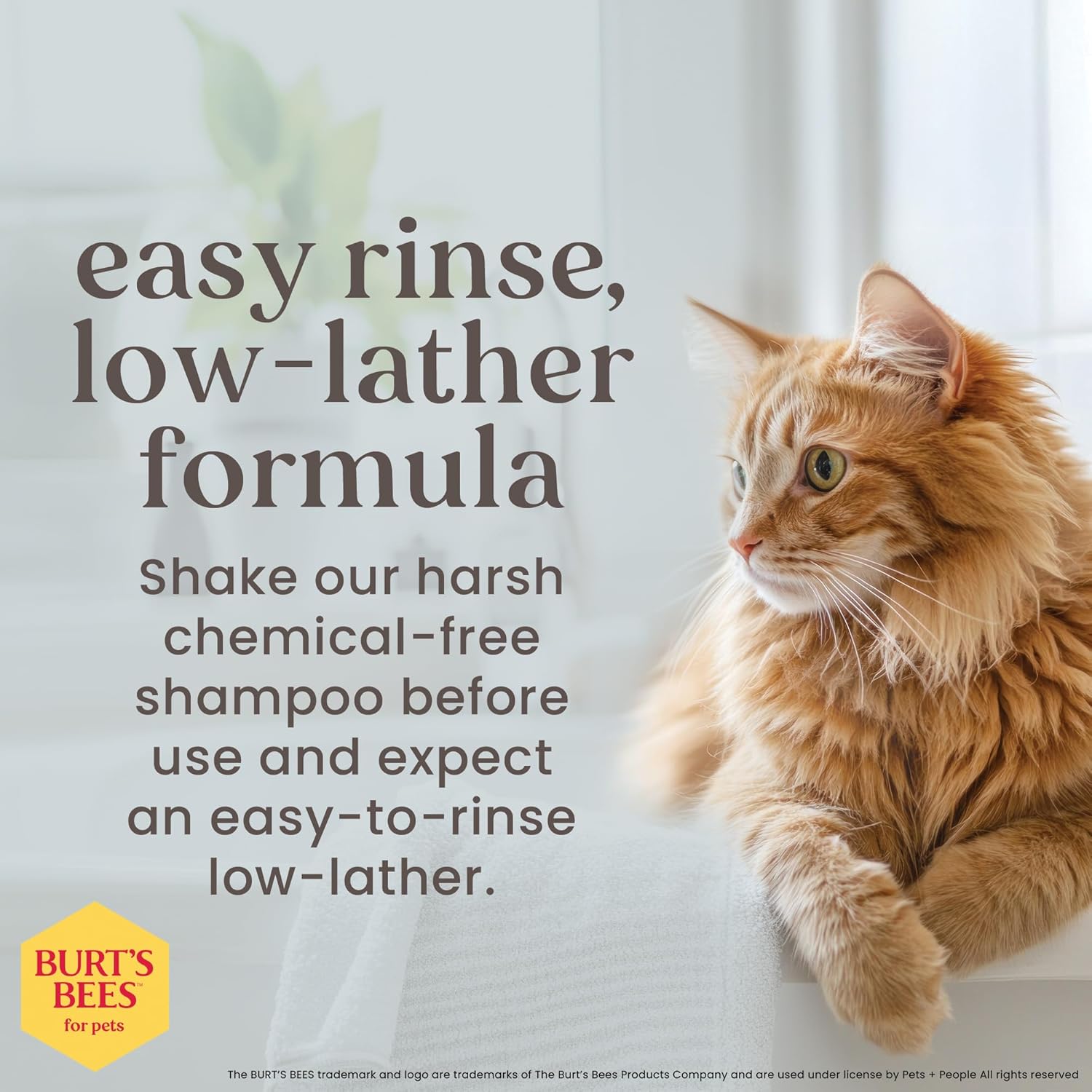 Burt's Bees Katzenshampoo, hypoallergen, mit natürlichen Inhaltsstoffen