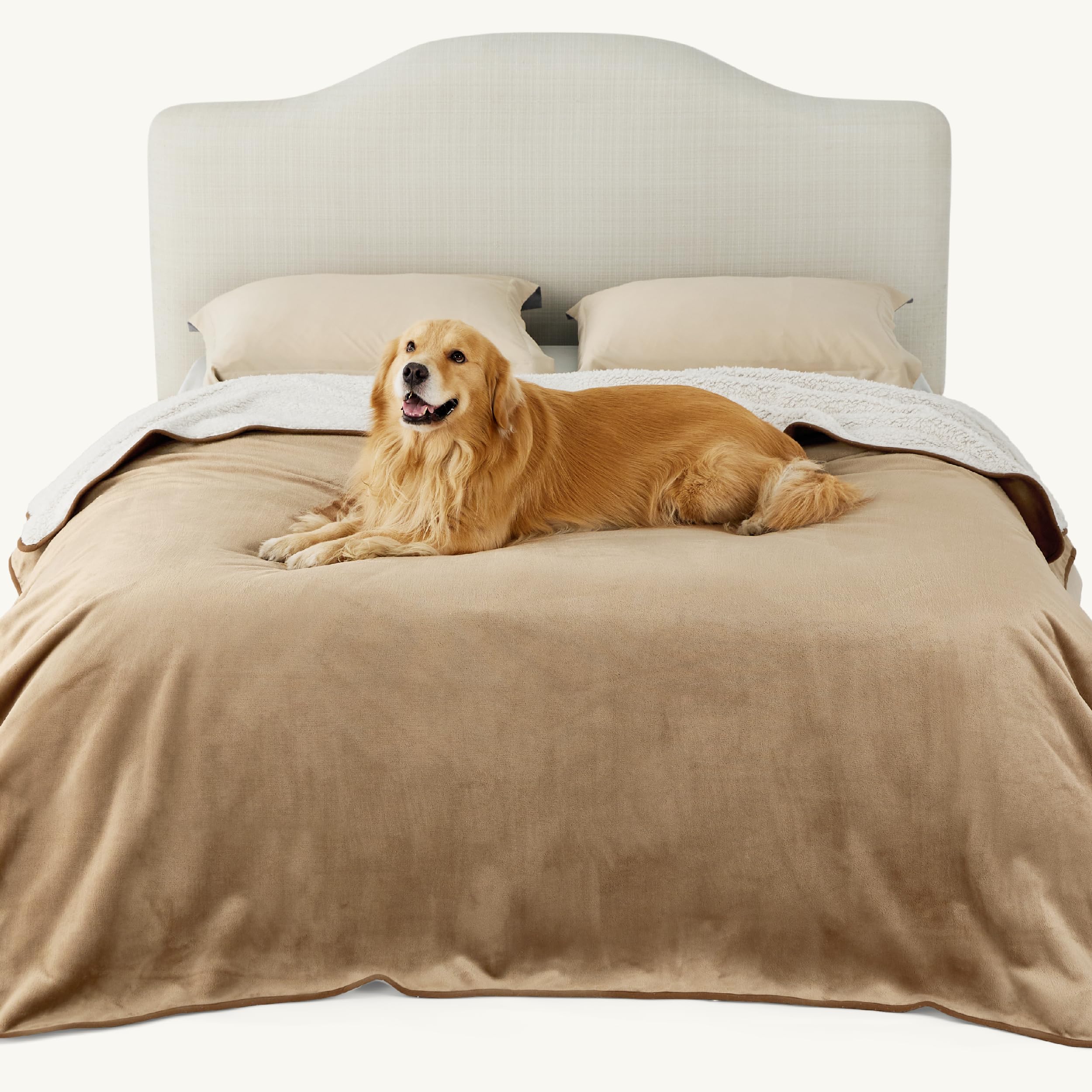 LE SURE wasserdichte Hundedecke mittelgroße Hunde - 100x80cm Hundedecke waschbar, Hundedecke Sofaschutz aus Sherpa Fleece, Katzendecke flauschig und weich, Grau