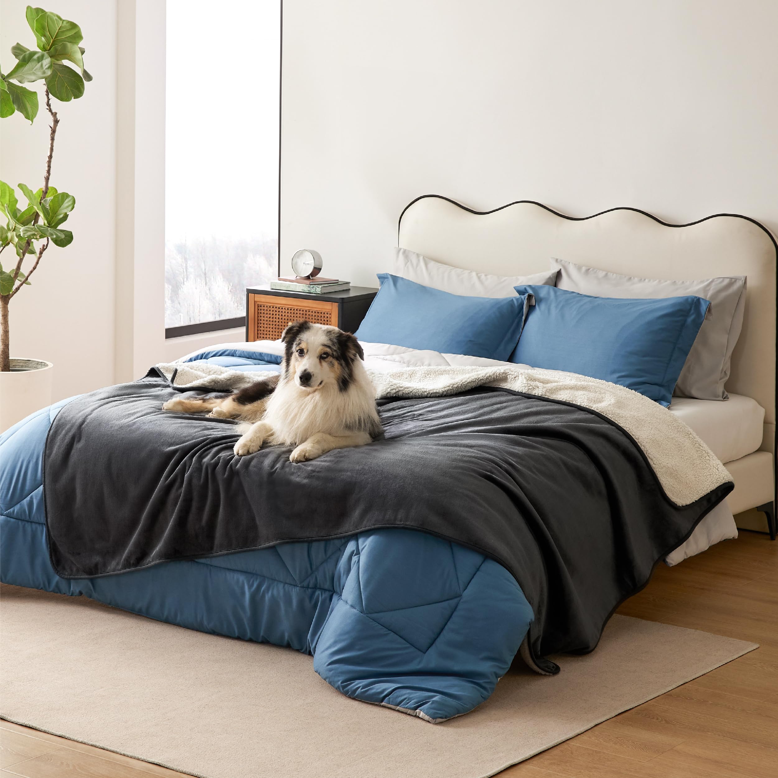 LE SURE wasserdichte Hundedecke mittelgroße Hunde - 100x80cm Hundedecke waschbar, Hundedecke Sofaschutz aus Sherpa Fleece, Katzendecke flauschig und weich, Grau