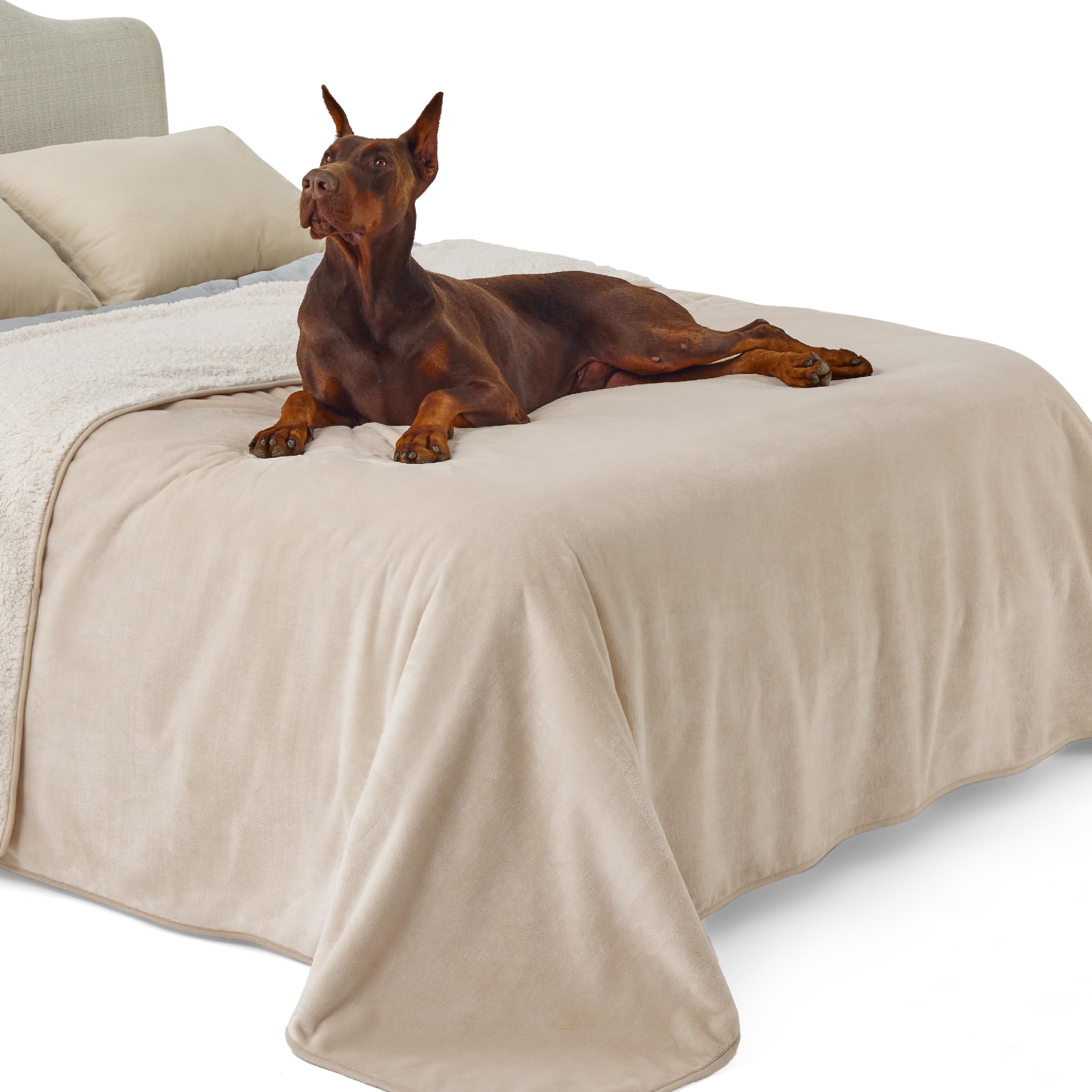 LE SURE wasserdichte Hundedecke mittelgroße Hunde - 100x80cm Hundedecke waschbar, Hundedecke Sofaschutz aus Sherpa Fleece, Katzendecke flauschig und weich, Grau