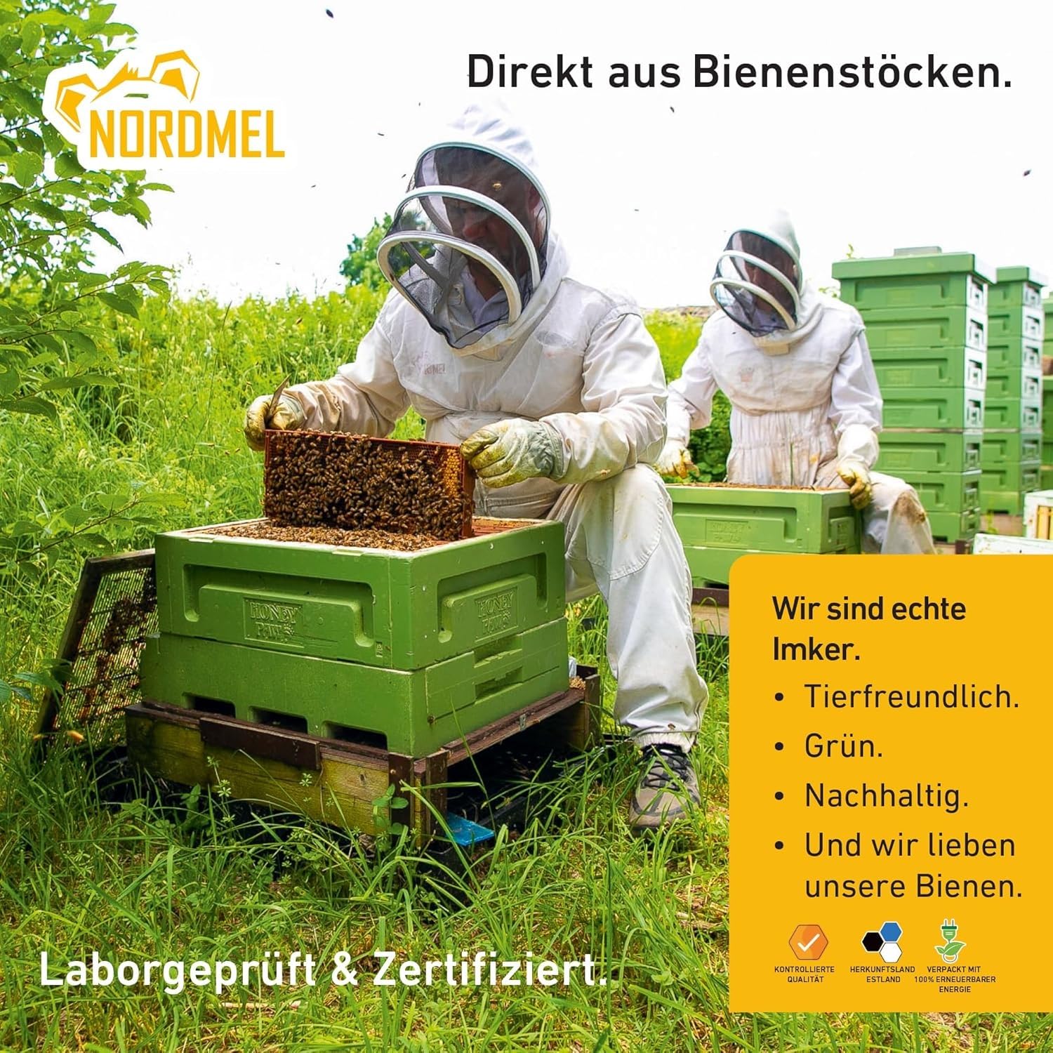 Reiner, wilder, natürlicher, roher Honig, 1 kg, ungefiltert, natürlicher Honig aus dem Ostseewald in Estland, nachhaltig geerntet mit 100% grüner Energie