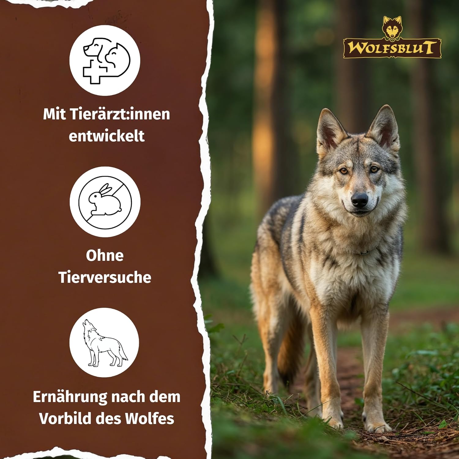 WOLFSBLUT – Wild Duck Adult | Trockenfutter mit natürlichen Zutaten und Superfoods für ausgewachsene Hunde. Getreidefreies Alleinfutter ohne Zusatzstoffe im Beutel | 12,5kg Ente