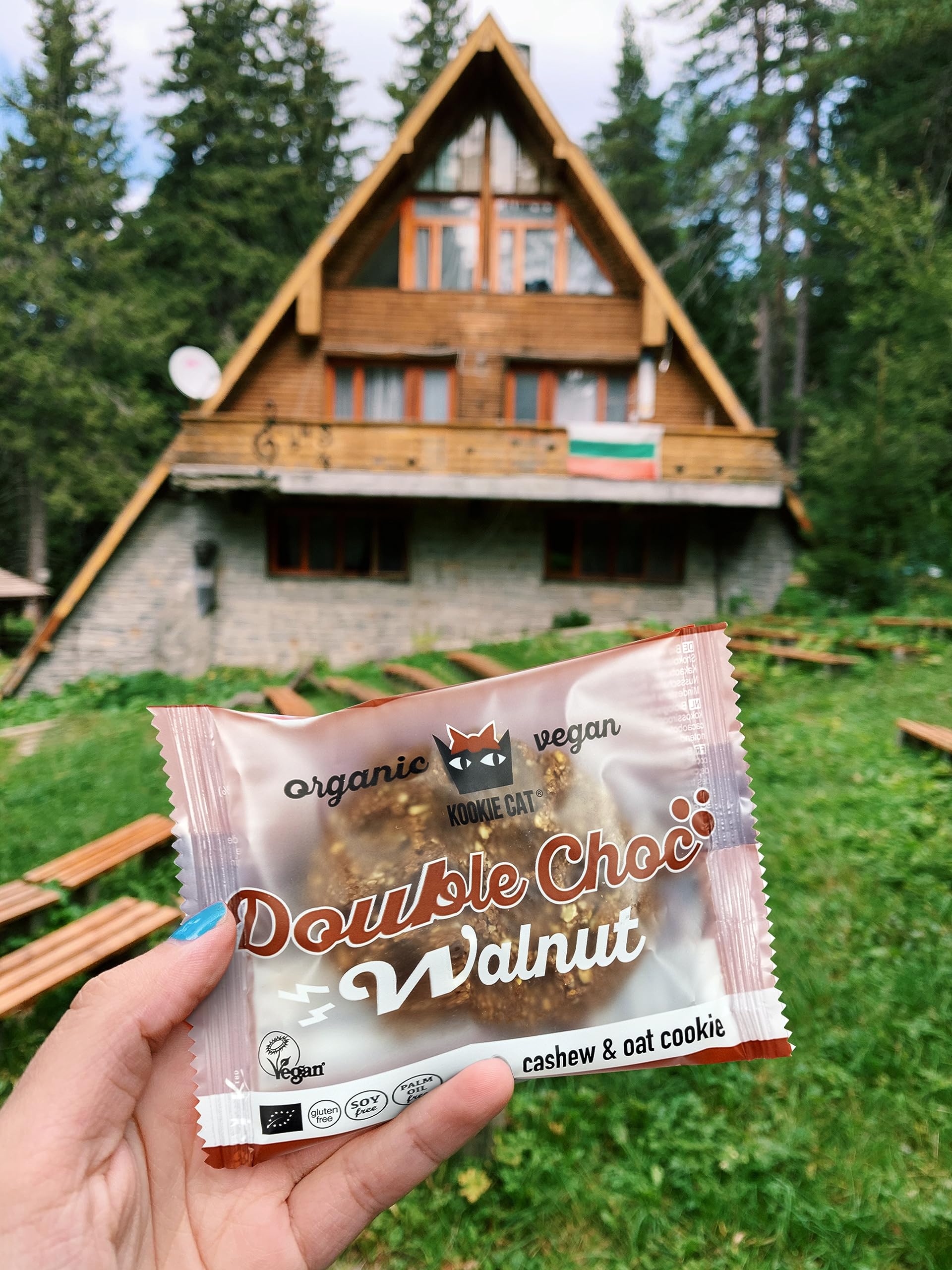 Kookie Cat Vanille Schokochip - Vegane Cookies Einzeln Verpackt, Glutenfrei, Sojafrei, Bio, Cashew & Hafer - 12 X 50g Multipack