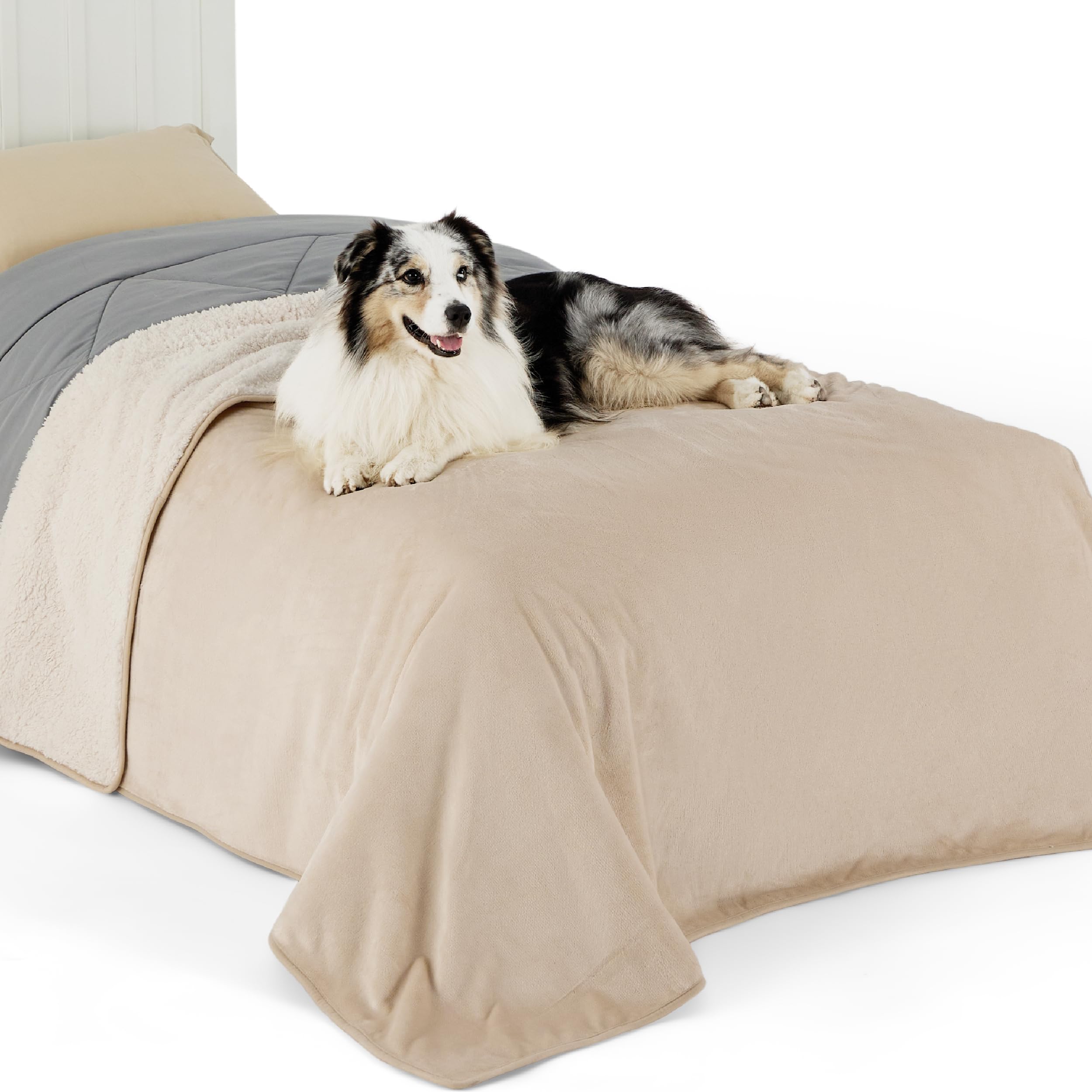 LE SURE wasserdichte Hundedecke mittelgroße Hunde - 100x80cm Hundedecke waschbar, Hundedecke Sofaschutz aus Sherpa Fleece, Katzendecke flauschig und weich, Grau