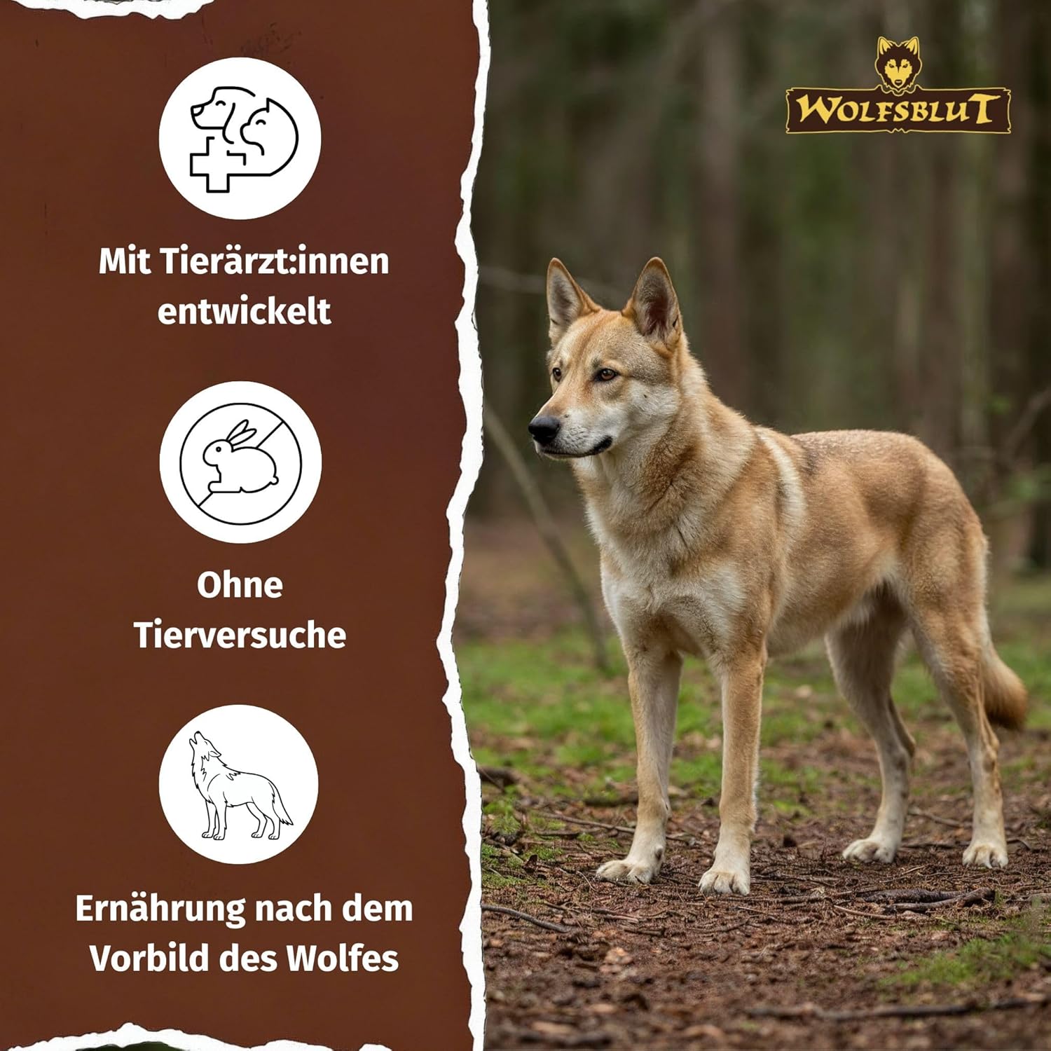 WOLFSBLUT – Wild Duck Adult | Trockenfutter mit natürlichen Zutaten und Superfoods für ausgewachsene Hunde. Getreidefreies Alleinfutter ohne Zusatzstoffe im Beutel | 12,5kg Ente