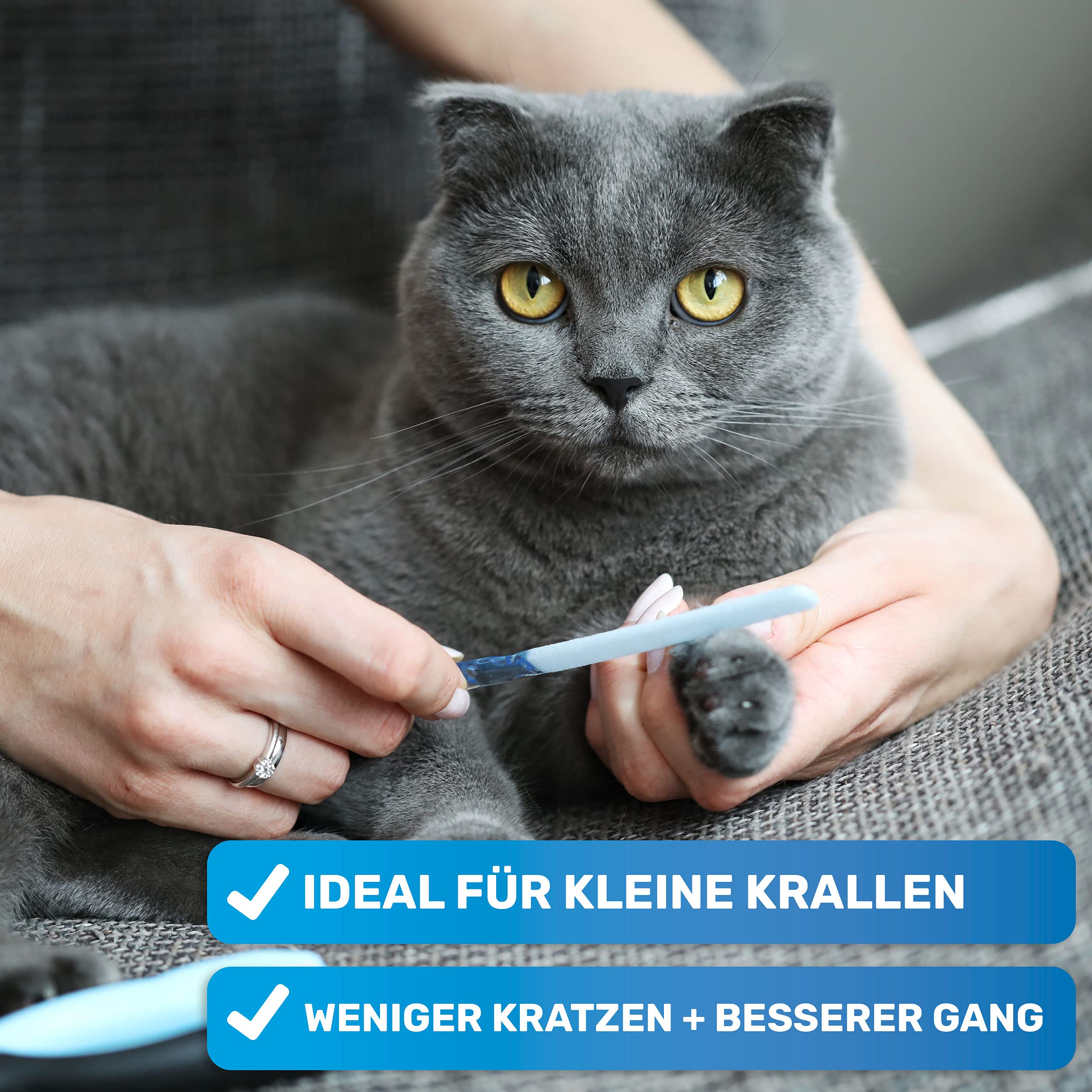 BluePet Krallenschere mit Schutz für Hunde & Katzen I Einsteigerfreundlich I Krallenzange für kleine & große Krallen + Krallenfeile im Griff - Alternative zu Nagelschere & Krallenschleifer