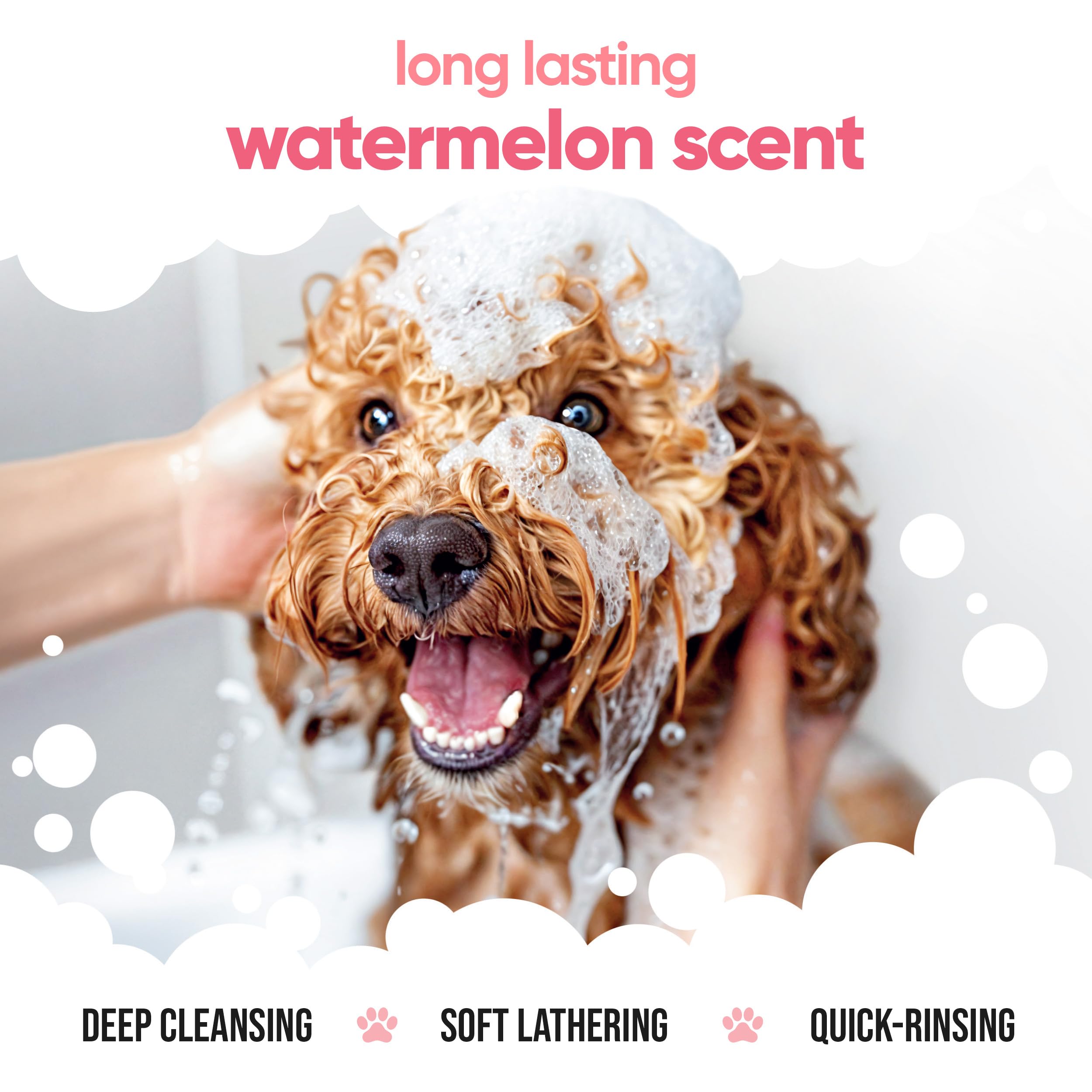 2in1 Hundeshampoo und Conditioner von Buddycare (500ml) - Praktisches Hundeshampoo langhaar und welpen Shampoo Mit Aloe Vera und Pro-Vitamin B5 Rückfettendes Shampoo Für Alle Hunderassen