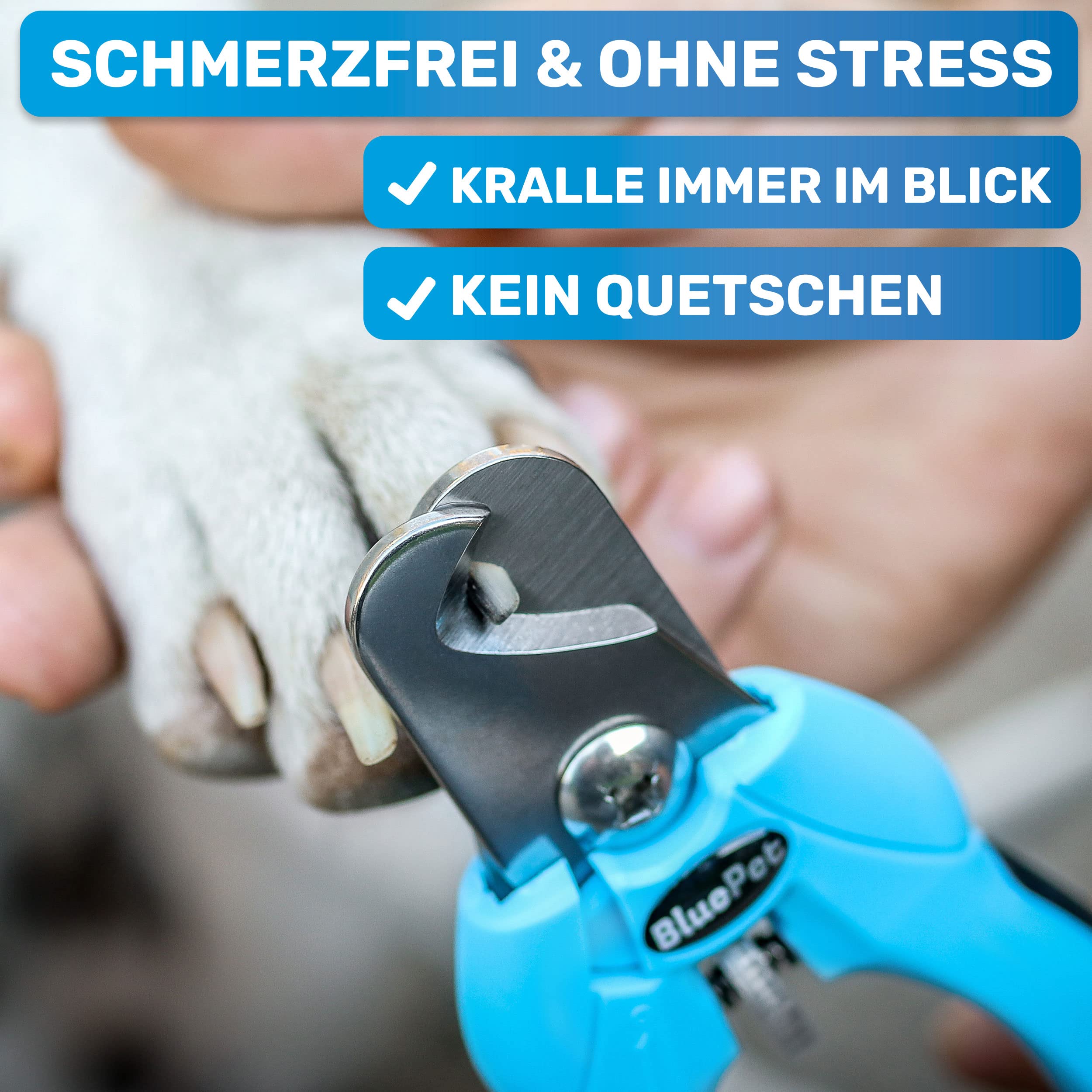 BluePet Krallenschere mit Schutz für Hunde & Katzen I Einsteigerfreundlich I Krallenzange für kleine & große Krallen + Krallenfeile im Griff - Alternative zu Nagelschere & Krallenschleifer