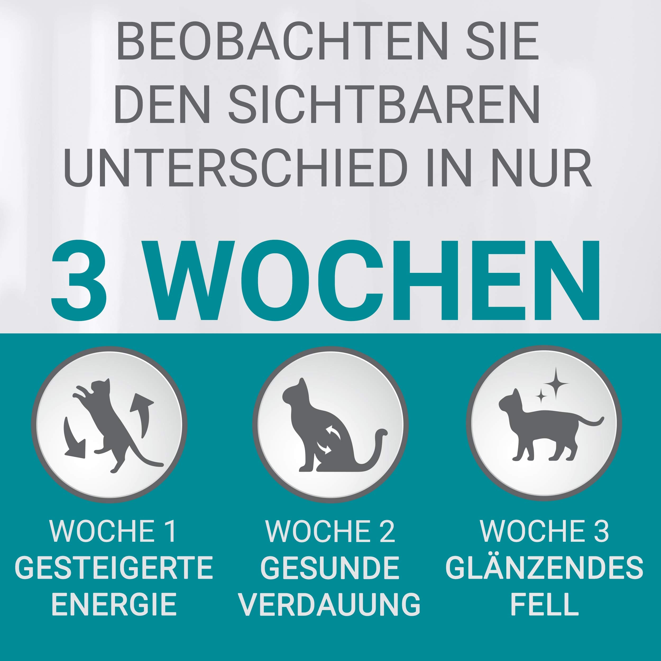 PURINA ONE BIFENSIS STERILCAT Katzenfutter trocken für sterilisierte Katzen, reich an Huhn, 1er Pack (1 x 5, 7kg)