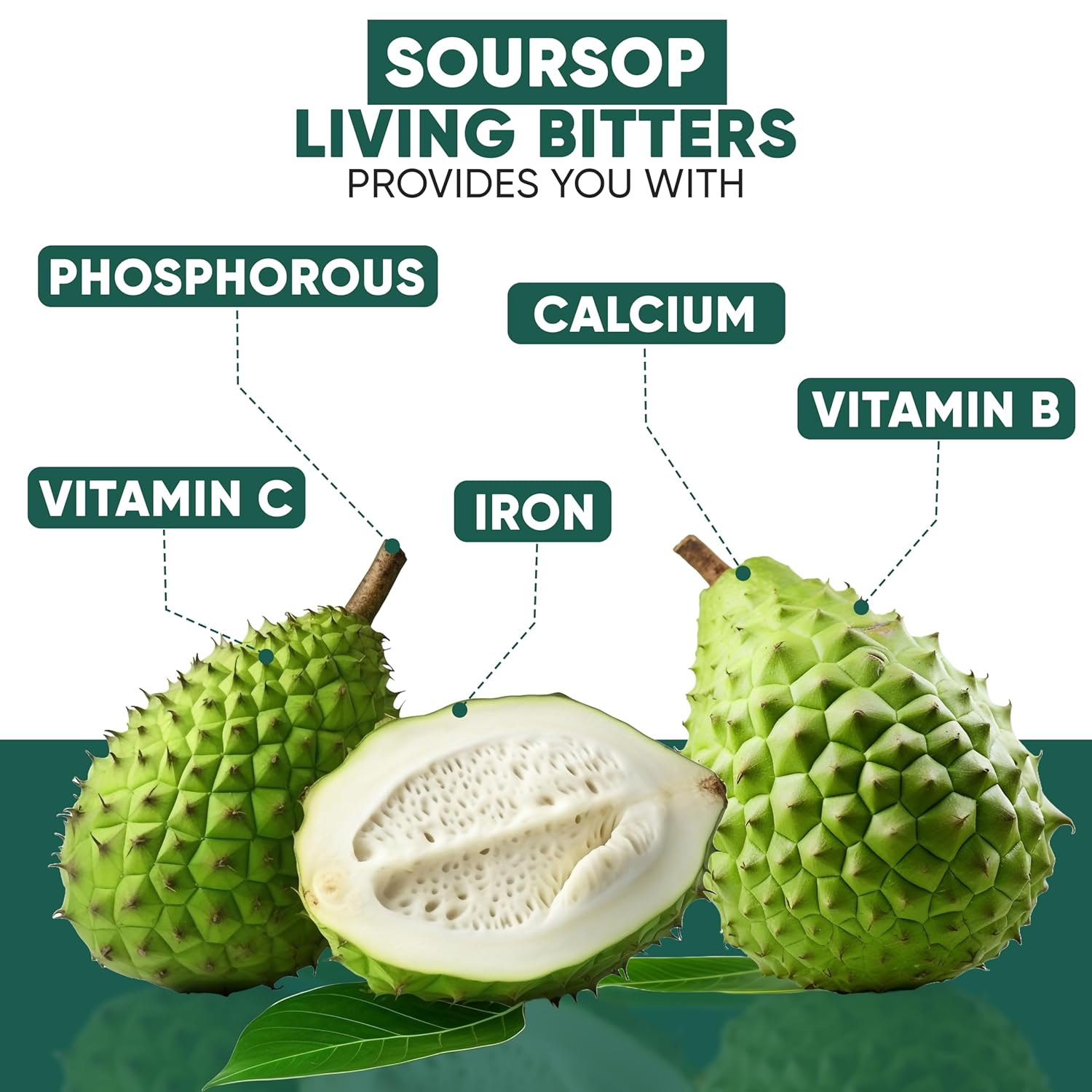 Herboganic Soursop Bitters Liquid | Natural Living Bitters for overall wellness 16 OZ | Soursop Bitters
