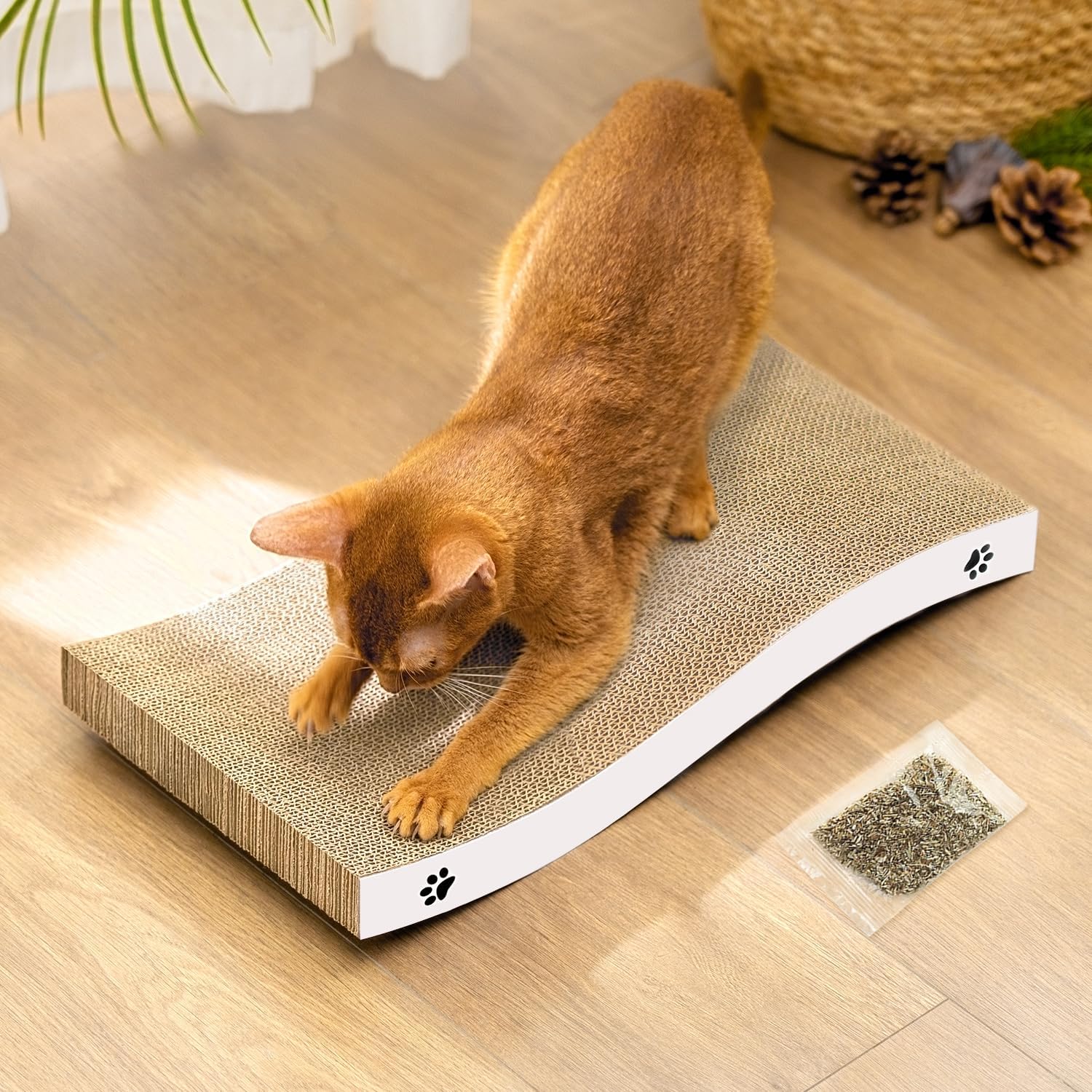 Katzen Kratzbrett aus Pappe – Kratzbretter Katze mit Wellenform, langlebige Kratzmatte als Möbelschutz für Sofa & Ecke, umkehrbare Kratzpappe für Wohnungskatzen (1er-Pack)