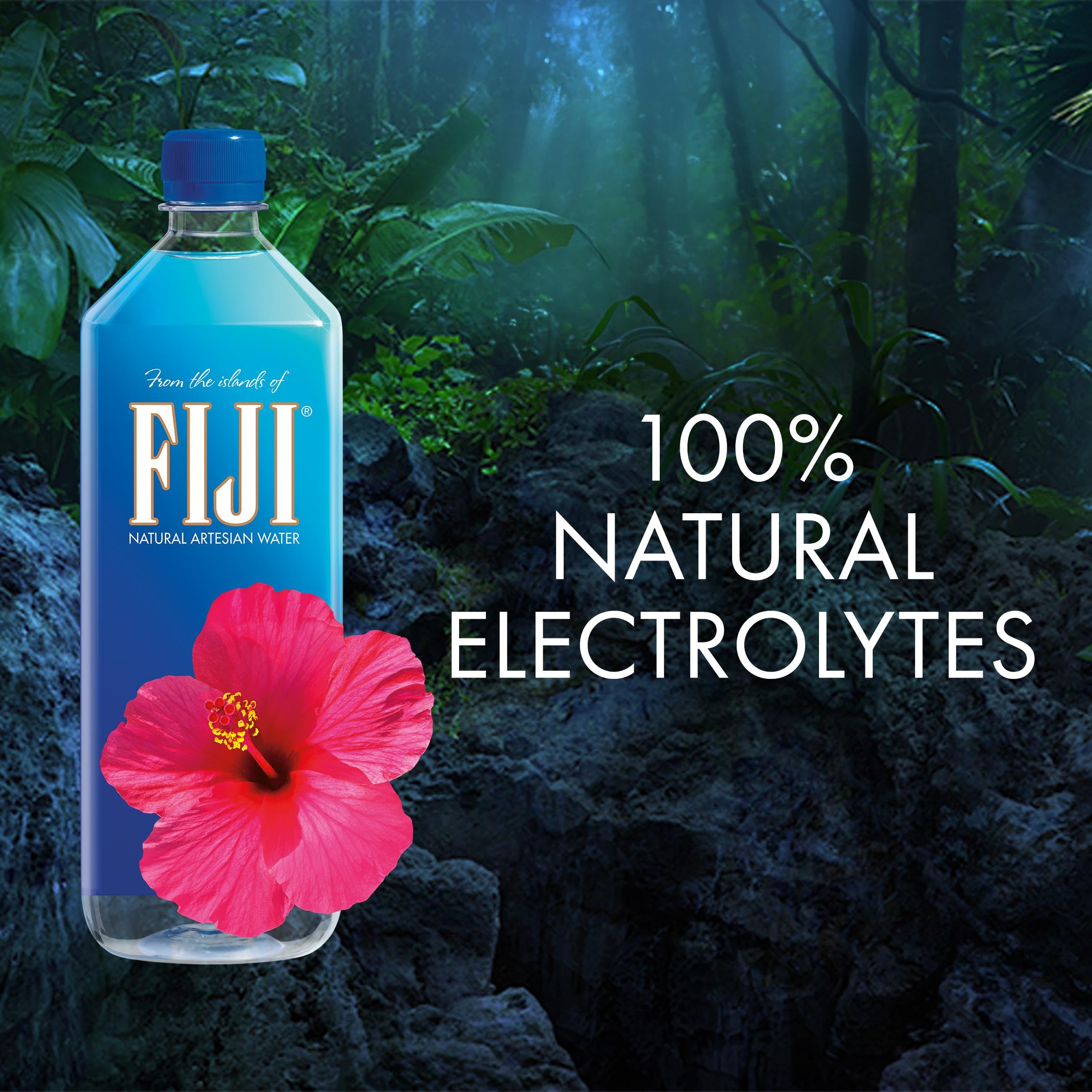 FIJI Water 1000 ml / 1 l, natürliches Quellwasser, 12er Pack (Einweg, 12 x 1000 ml)
