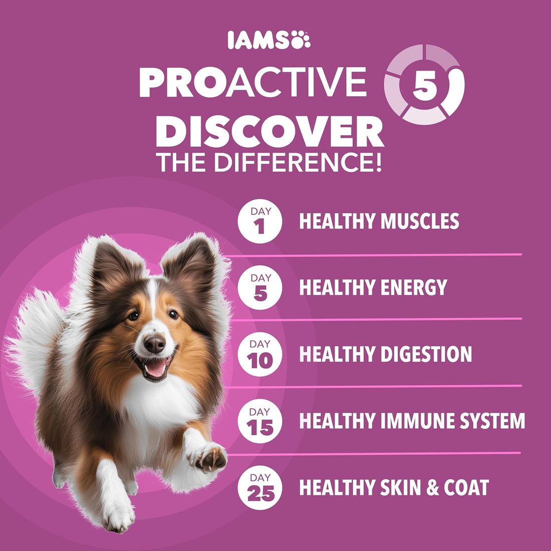 IAMS Proactive Health Healthy Aging Large Breed Dog Food for Mature and Senior Dogs with Real Chicken, 30 lb. Bag