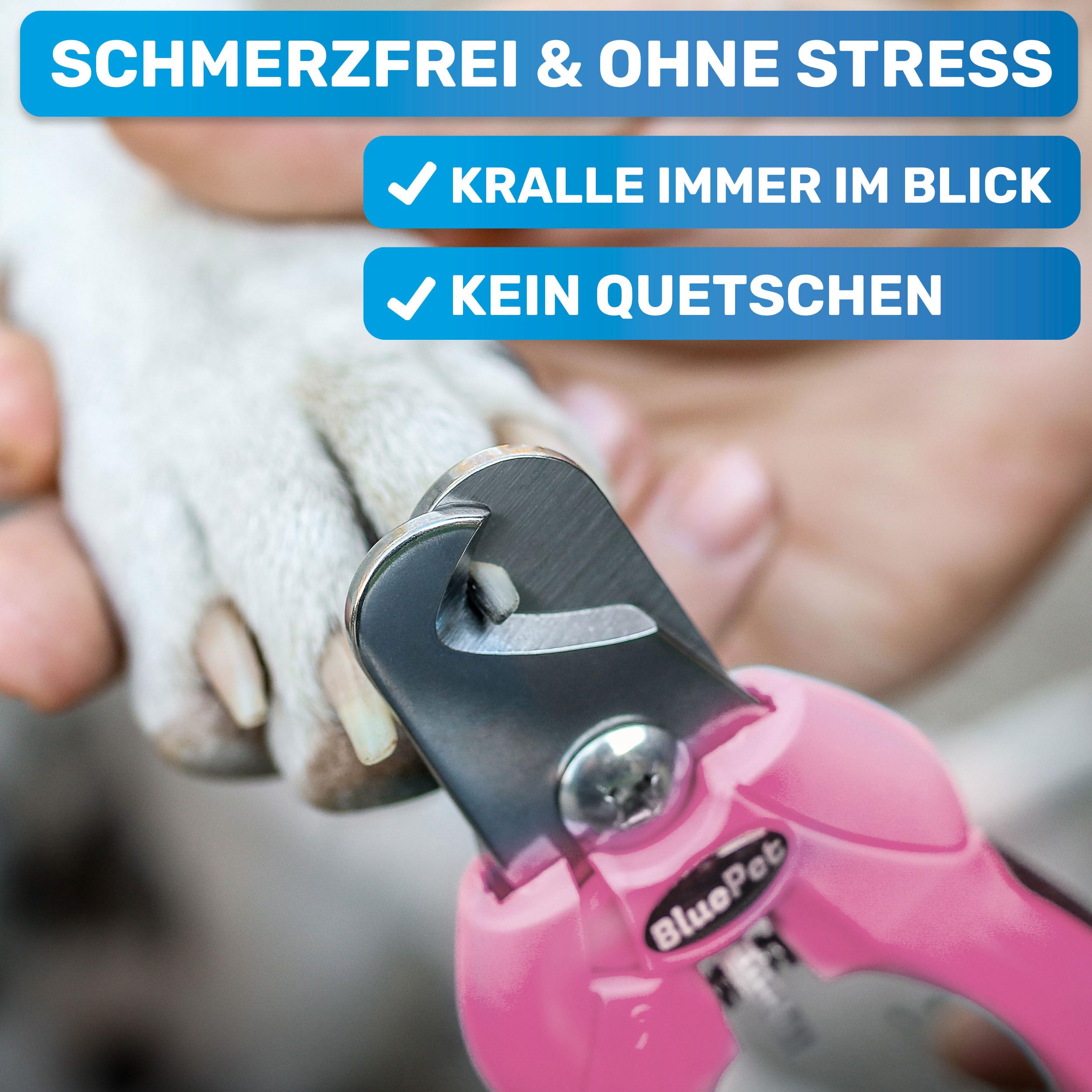BluePet Krallenschere mit Schutz für Hunde & Katzen I Einsteigerfreundlich I Krallenzange für kleine & große Krallen + Krallenfeile im Griff - Alternative zu Nagelschere & Krallenschleifer