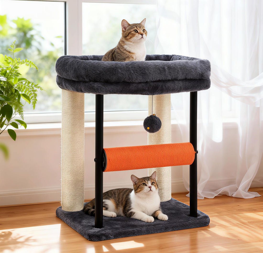 Hey-brother Kratzbaum, 50 cm klein Katzenbaum für Kätzchen, Kratzpfosten mit drehbarer Sisalsäule, geräumiger Plüschplattform, Vollständig sisalumwickelte Säule und Spielbällen, Hellgrau EMPJ010SW