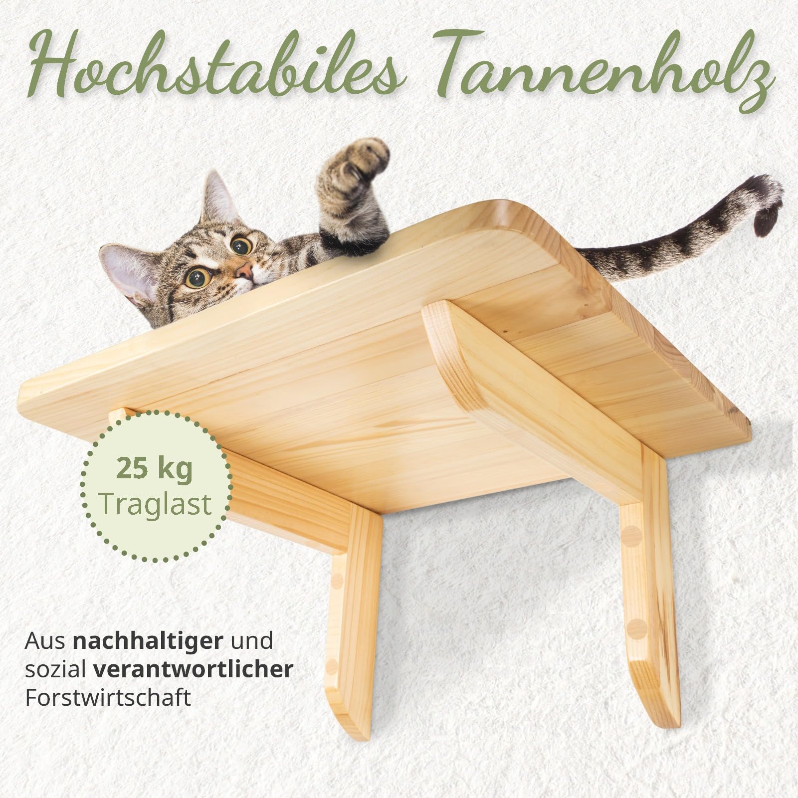 WOOWOOD® 2X Kletterwand Katzen - 3X Katzentreppe Wand [Beste Stabilität] - Kratzbaum Wand, Hängematte Katze, Wandkratzbaum, Katzenmöbel, Katzenwand, Katzen Kletterwand Set (5 teilig)