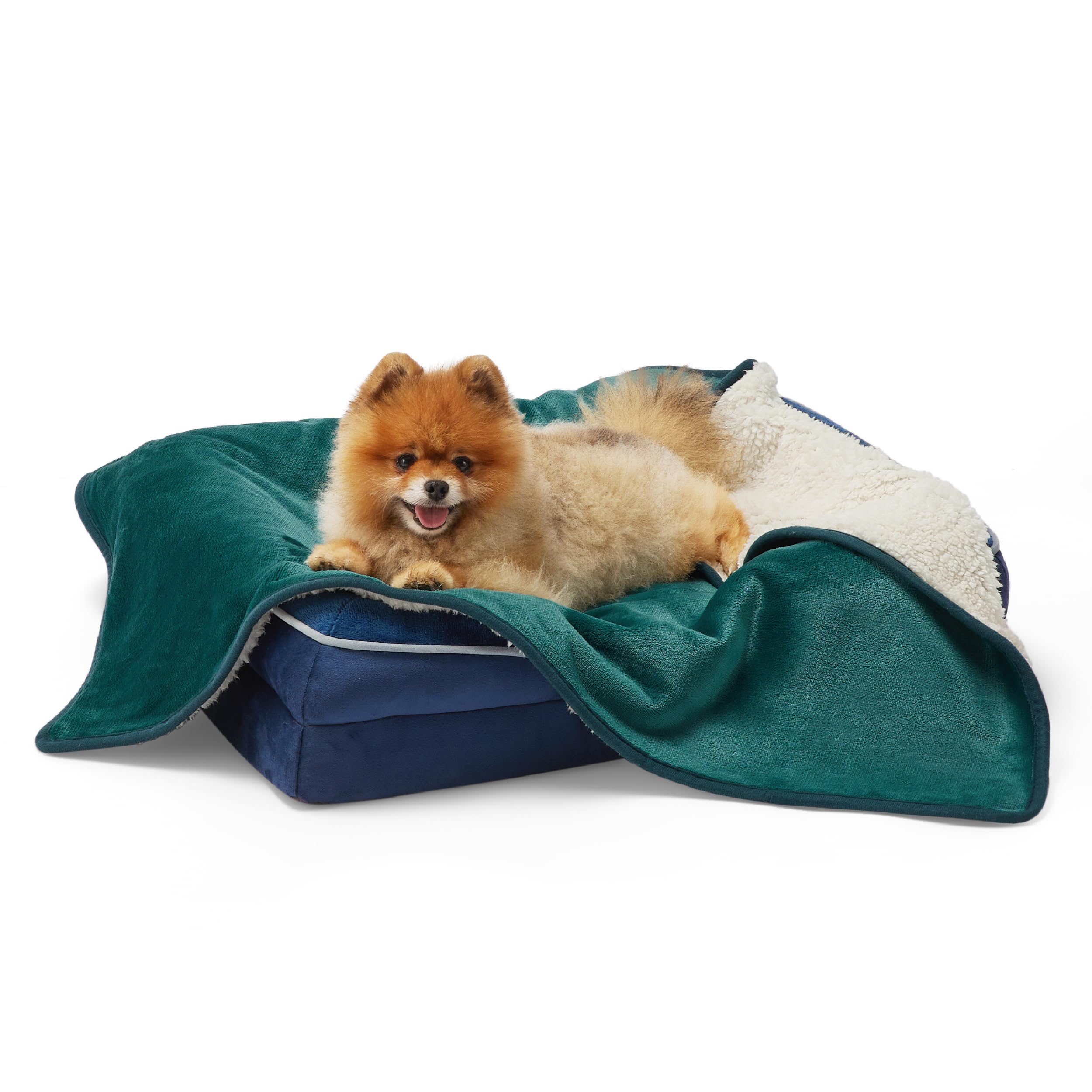 LE SURE wasserdichte Hundedecke mittelgroße Hunde - 100x80cm Hundedecke waschbar, Hundedecke Sofaschutz aus Sherpa Fleece, Katzendecke flauschig und weich, Grau
