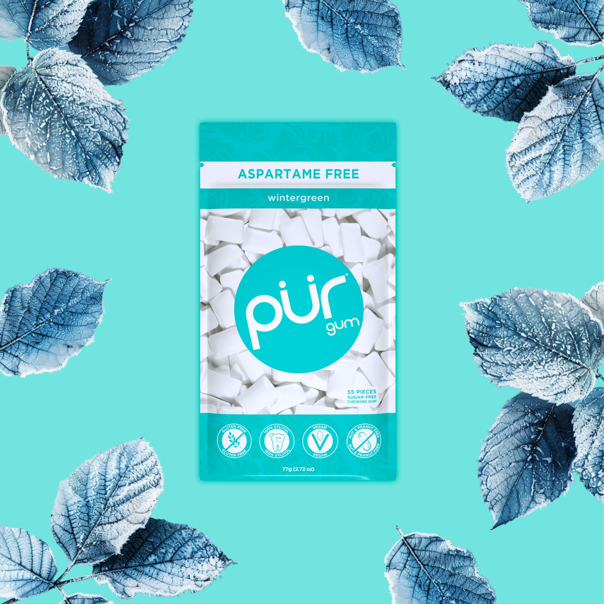 PUR Gum | Zuckerfreier Kaugummi | Mit Xylit | Vegan, Aspartamfrei & Glutenfrei | Natürlicher Kaugummi Mit Spearmint-Geschmack, 55 Stück (3er Pack)
