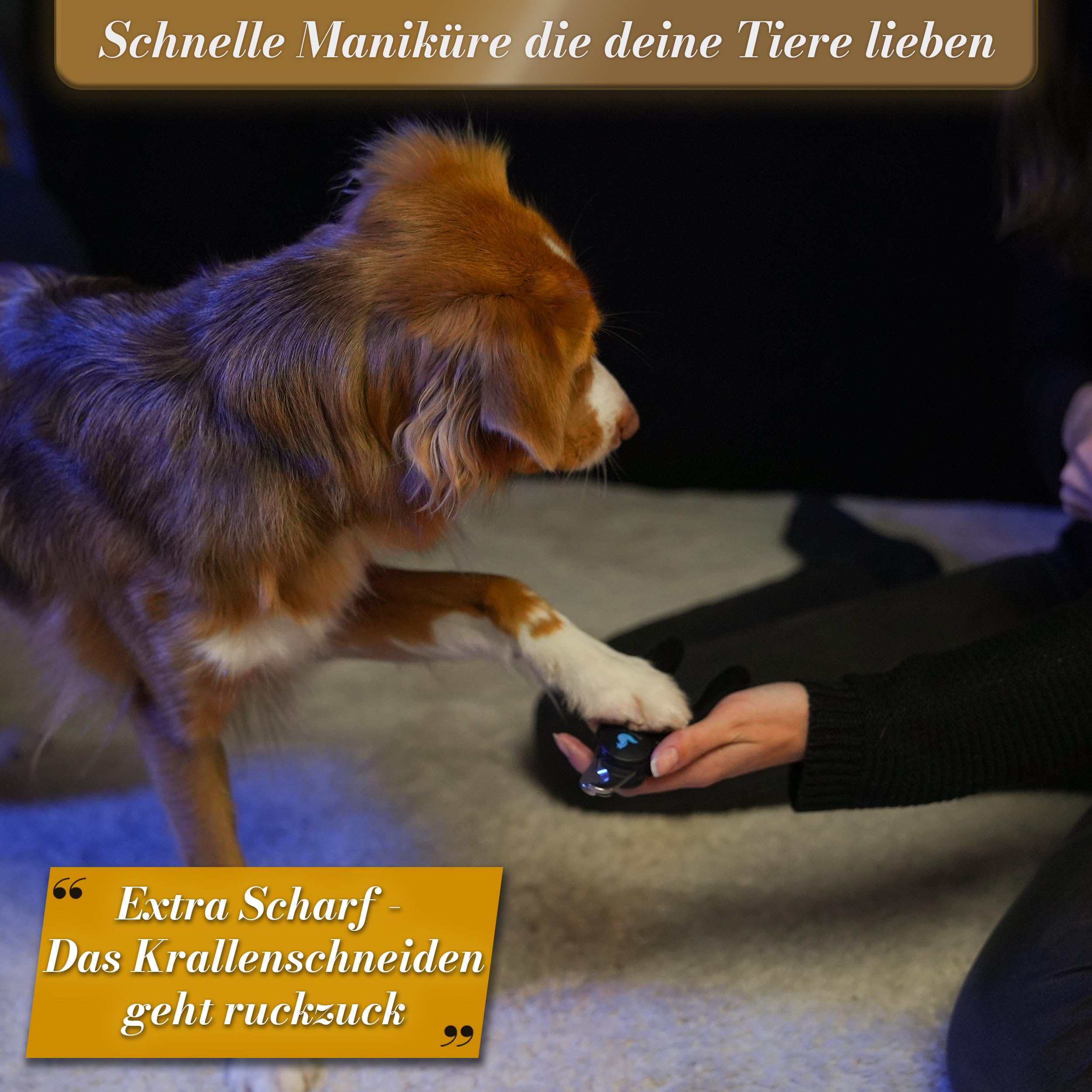 BluePet Krallenschere mit Schutz für Hunde & Katzen I Einsteigerfreundlich I Krallenzange für kleine & große Krallen + Krallenfeile im Griff - Alternative zu Nagelschere & Krallenschleifer