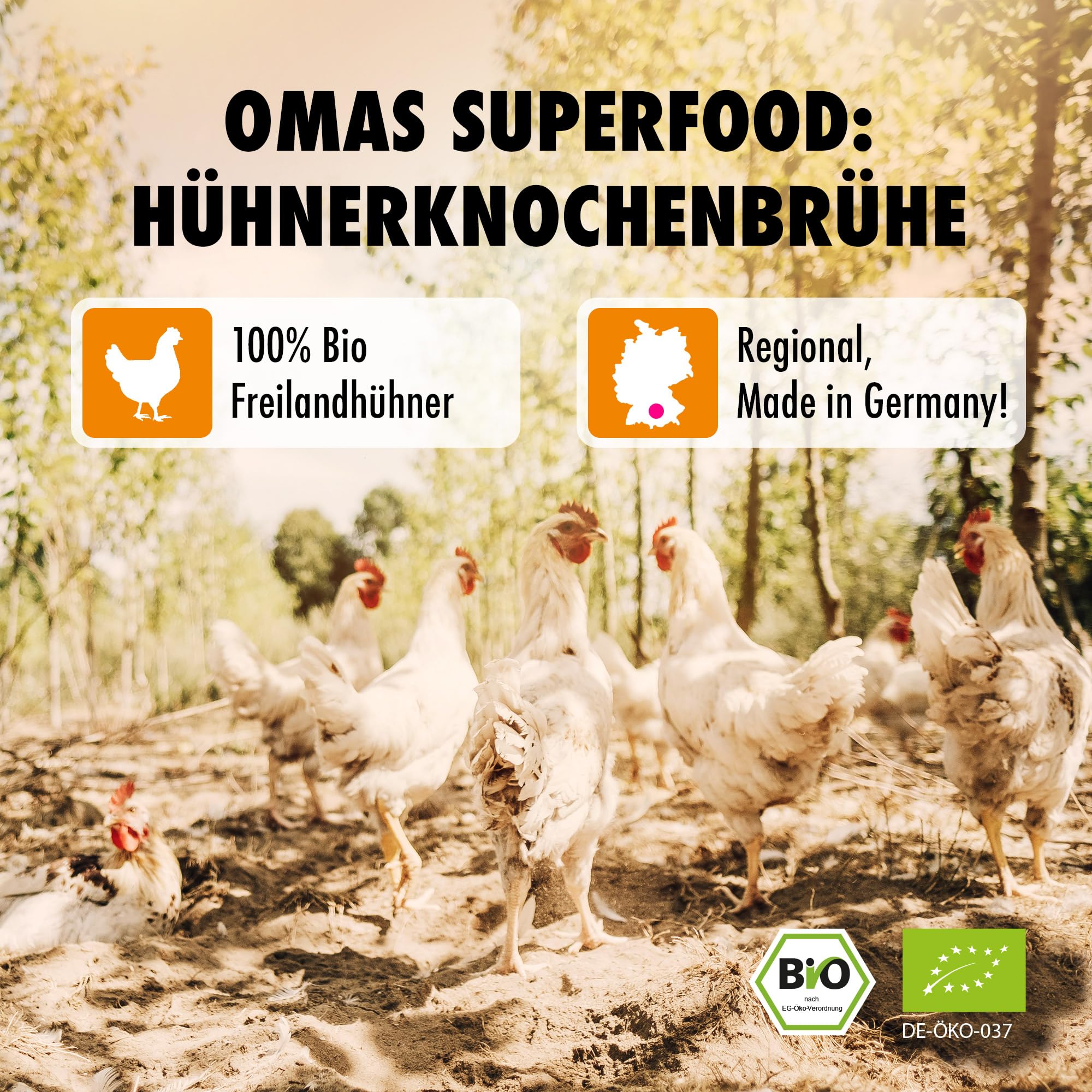 BROX Knochenbrühe Rind Bio [6x370ml] – 24 Std. gekocht, Deutschland – Kollagen & Aminosäuren – Rinderbrühe aus Weidehaltung – Premium Bone Broth