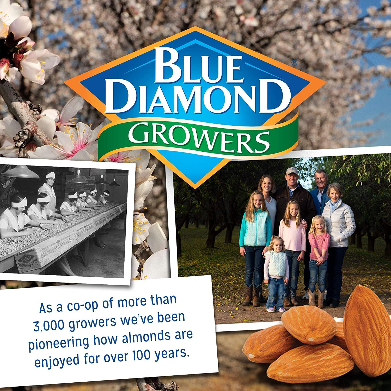 Blue Diamond Almonds Snack Nut Variety Pack for Kids, Office, School, On-the-go, 0.75 oz Gluten Free Individual Packs, Wasabi & Soy Sauce, Lightly Salted, and Smokehouse (Pack of 1, 24 Count Total)