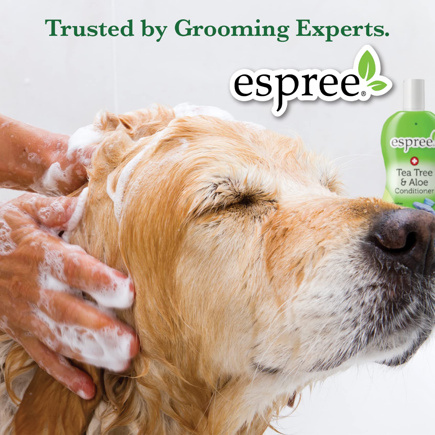 Espree Natürliche Kätzchen Shampoo 354 ml