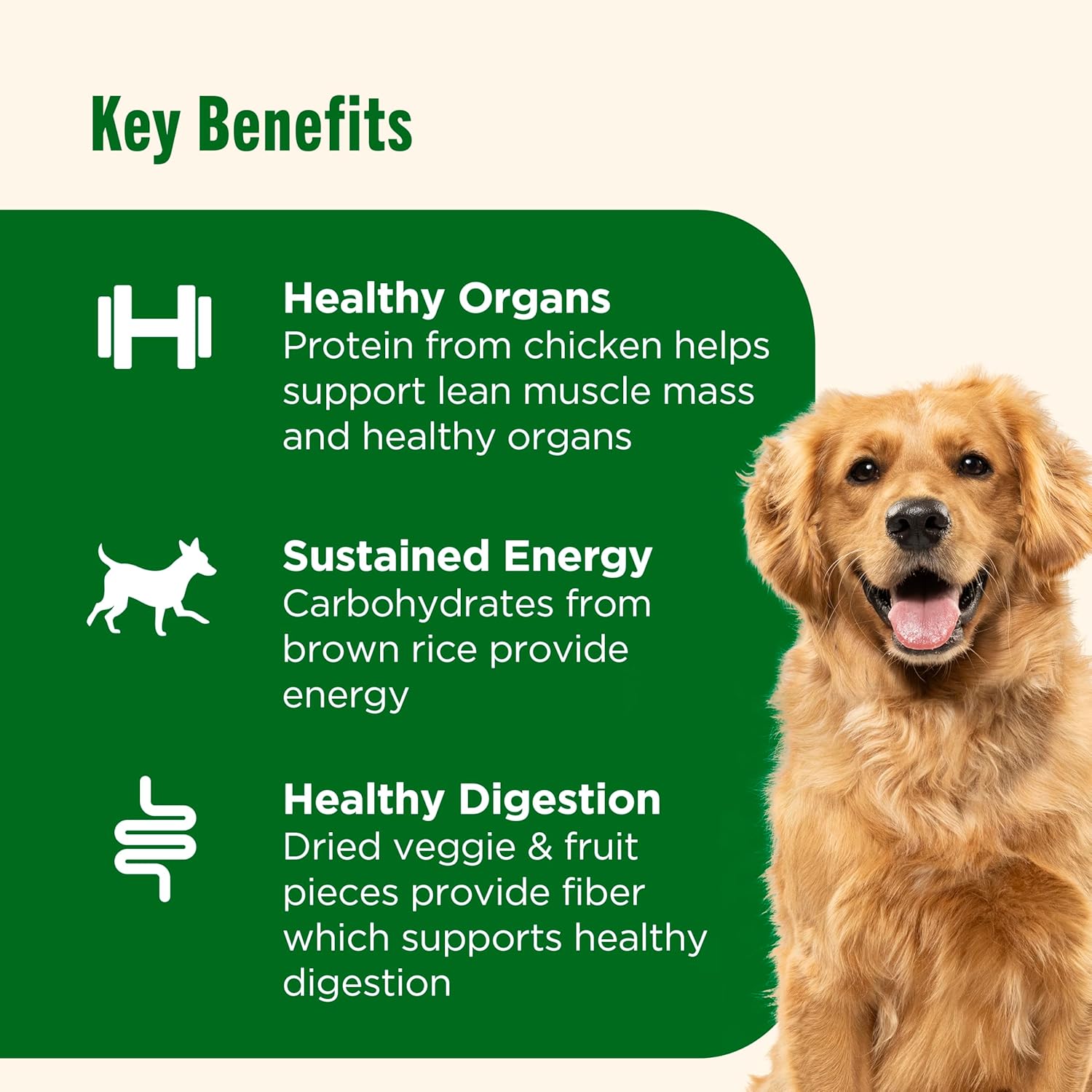 Rachael Ray Nutrish Dish Dry Dog Food Beef & Brown Rice Recipe With Veggie & Fruit Blend, 23 lb. Bag