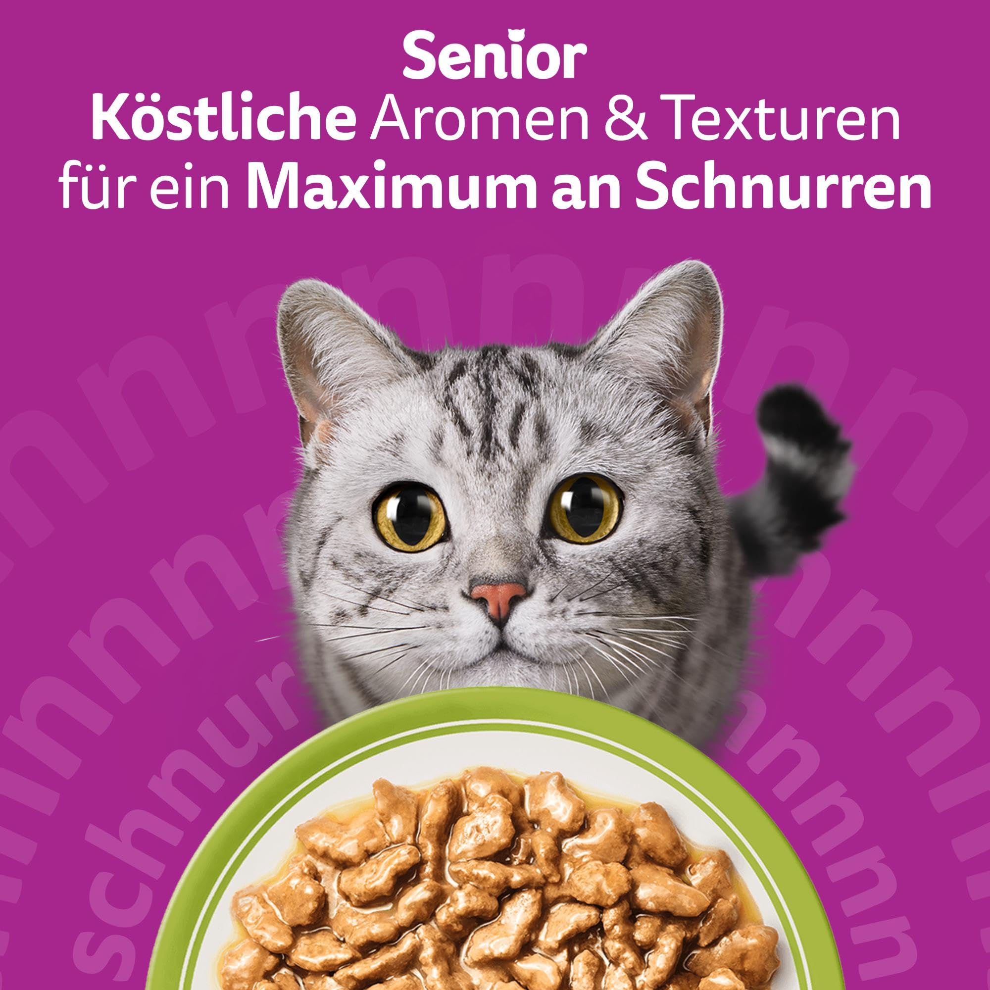 Whiskas Senior 7+ Katzennassfutter Gemischte Auswahl in Sauce, 48 Portionsbeutel, 12x85g (4er Pack) – Hochwertiges Katzenfutter nass, für Katzen ab 7 Jahren und älter