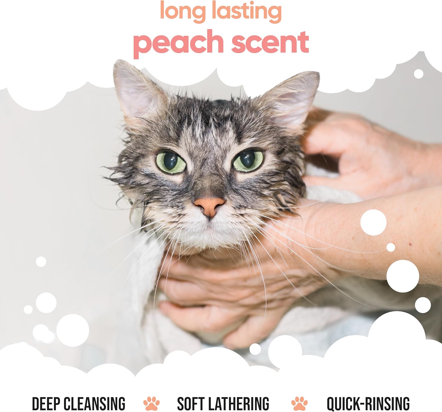 Buddycare Katzenshampoo für Katzen 500 ml Katzenshampoo mit Pfirsichduft zur Reinigung und zum Waschen