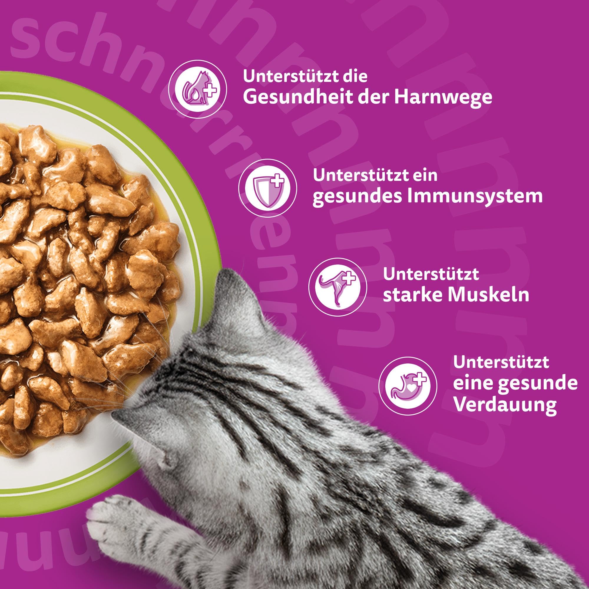 Whiskas Senior 7+ Katzennassfutter Gemischte Auswahl in Sauce, 48 Portionsbeutel, 12x85g (4er Pack) – Hochwertiges Katzenfutter nass, für Katzen ab 7 Jahren und älter
