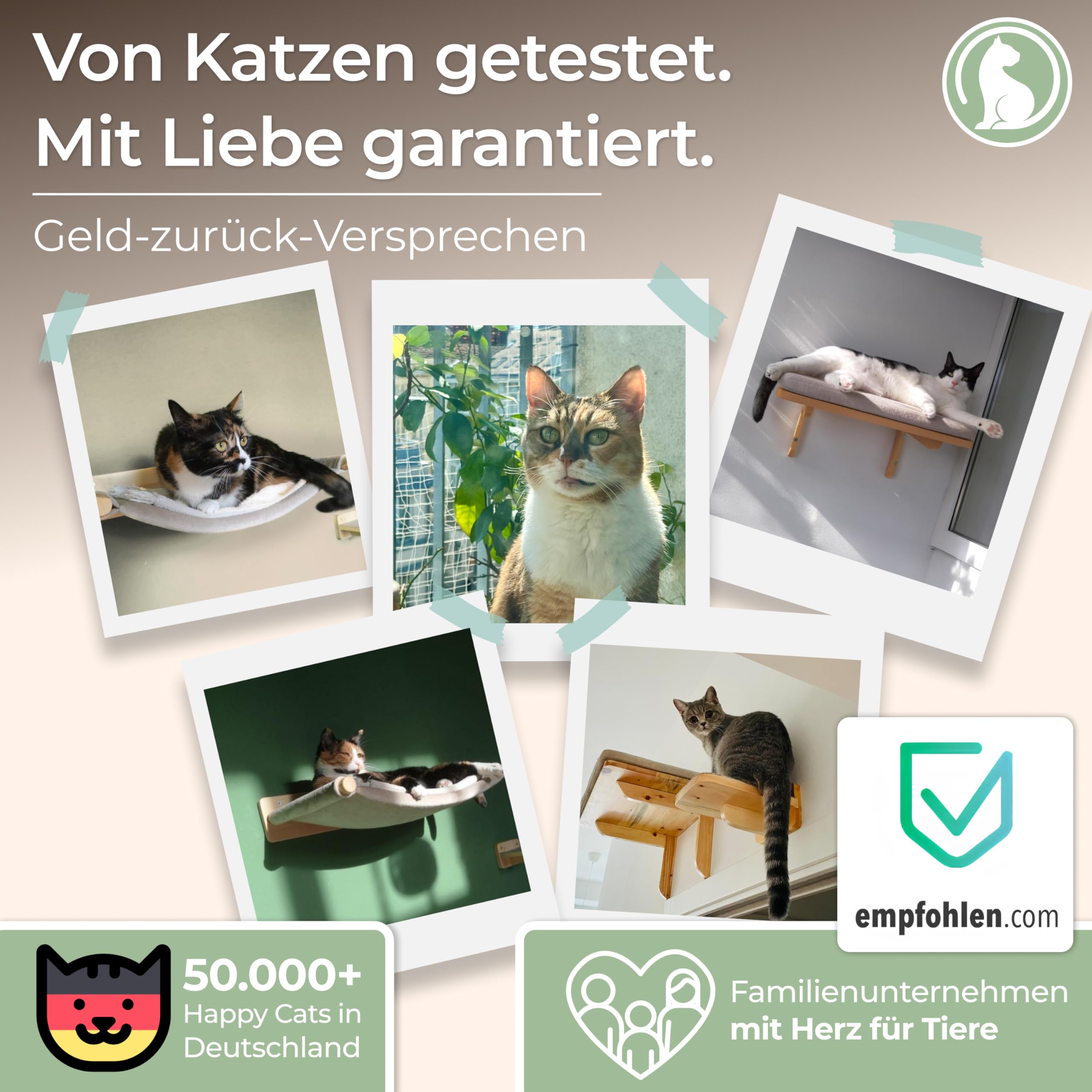 WOOWOOD® 2X Kletterwand Katzen - 3X Katzentreppe Wand [Beste Stabilität] - Kratzbaum Wand, Hängematte Katze, Wandkratzbaum, Katzenmöbel, Katzenwand, Katzen Kletterwand Set (5 teilig)