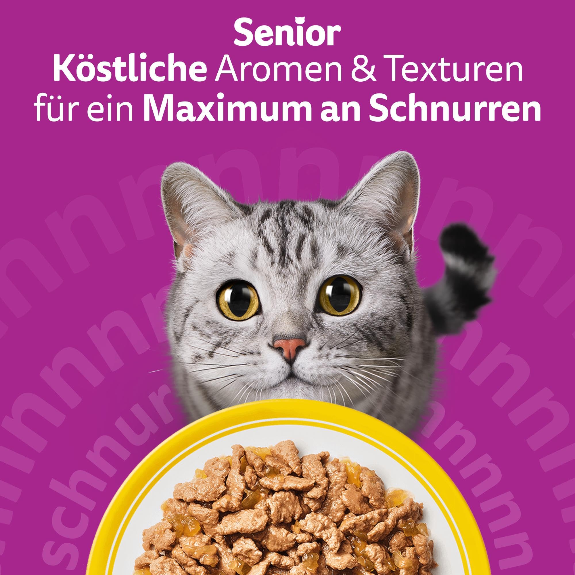 Whiskas Senior 7+ Katzennassfutter Gemischte Auswahl in Sauce, 48 Portionsbeutel, 12x85g (4er Pack) – Hochwertiges Katzenfutter nass, für Katzen ab 7 Jahren und älter
