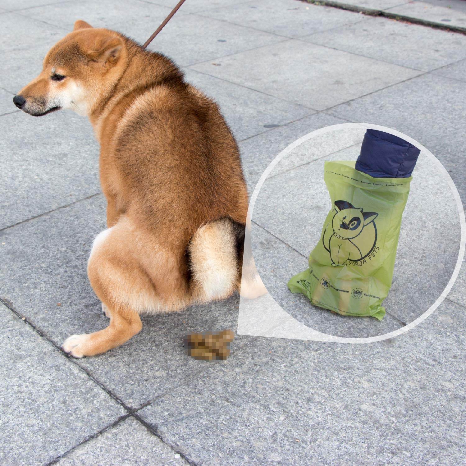 Hundekotbeutel biologisch abbaubare kotbeutel für hunde, 360 Stück, auslaufsicher,extra groß,dick und stark