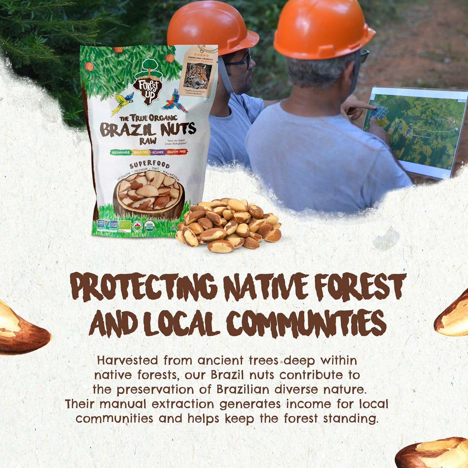 Snack The True Organic Brazil Nuts 15 oz – Raw and Unsalted – Kosher – Healthy – Rich in Vegetable Protein – Harvested in Amazon Rainforest – Fresh, Vegan, and Gluten Free – Forest Up