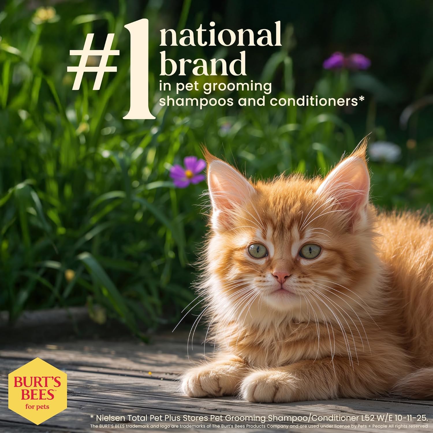 Burt's Bees Tearless Kitten Shampoo with Buttermilk