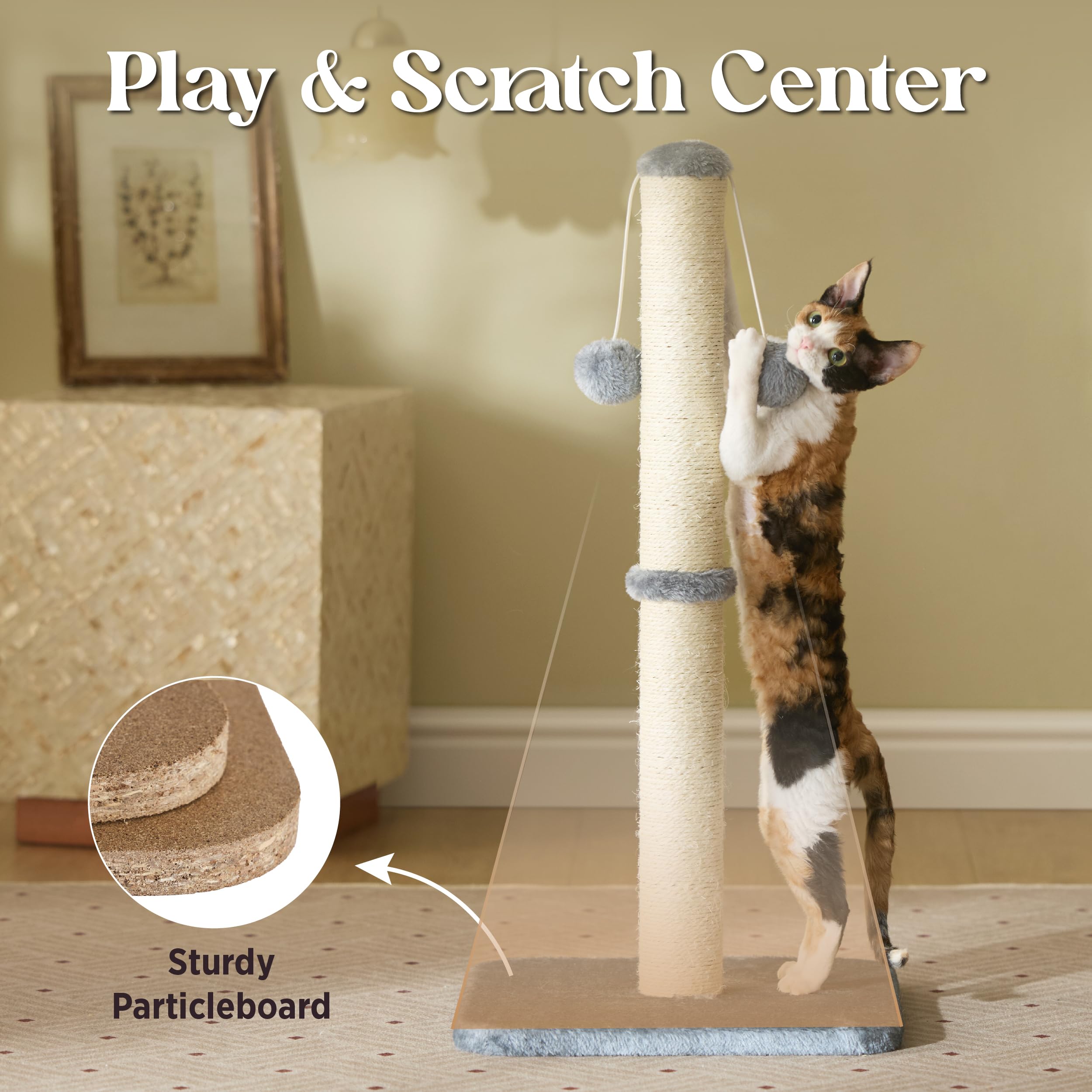 Lesure Kratzsäule Mittelgroßer für Katzen Indoor - 36x36x74cm Kratzstamm mit Hängendem Spielball, Kleiner Kratzbaum mit Sisalseil, Stabile Basis Kratzsäule, Grau