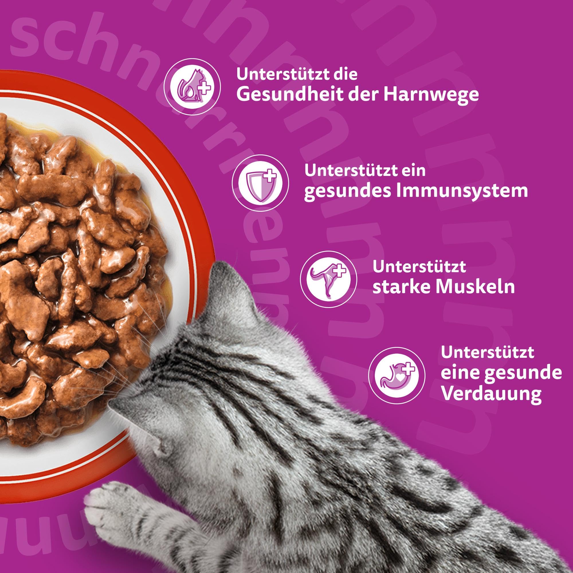 Whiskas Senior 7+ Katzennassfutter Gemischte Auswahl in Sauce, 48 Portionsbeutel, 12x85g (4er Pack) – Hochwertiges Katzenfutter nass, für Katzen ab 7 Jahren und älter