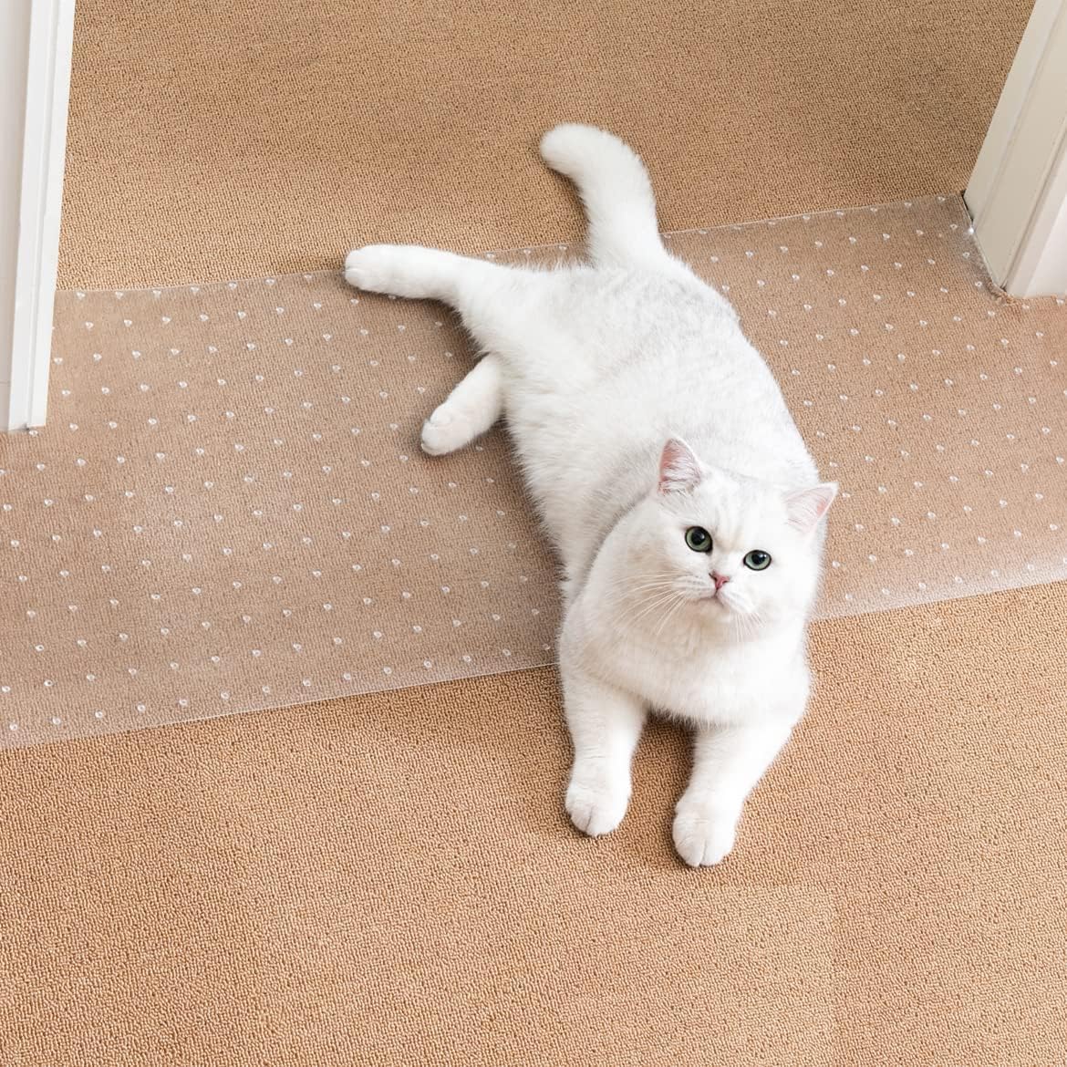 Uross Kratzschutz Sofa Katze Transparent 5m x 43cm, Katzenschutz Selbstklebend Tape Extra Long, Anti Kratz Folie für Katzen, Sofa Couch Schutz Katze, Wandschutzfolie Selbstklebend für Möbel Tür Wand